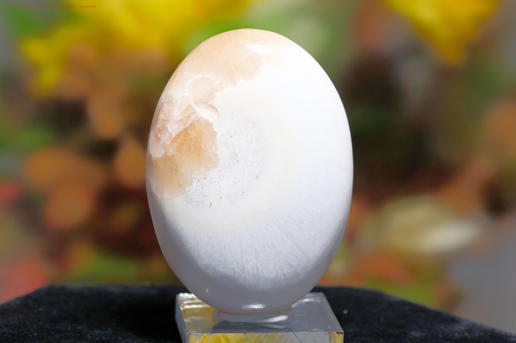 スコレサイトとスティルバイトのパームストーン画像” loading=