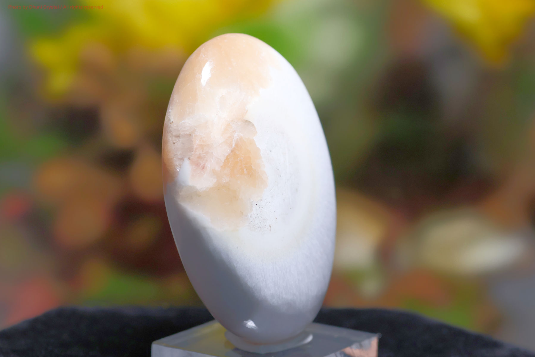 スコレサイトとスティルバイトのパームストーン画像