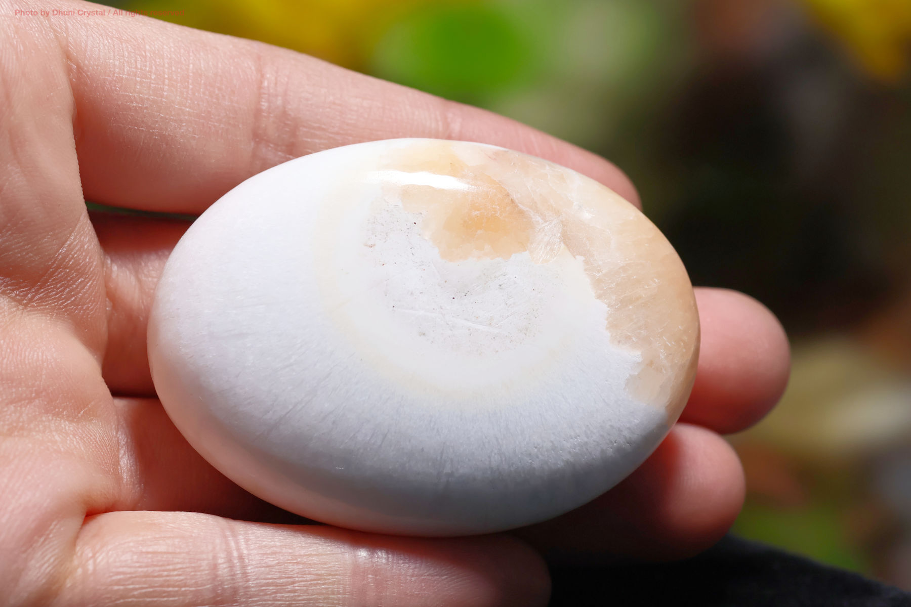 スコレサイトとスティルバイトのパームストーン手の上の画像