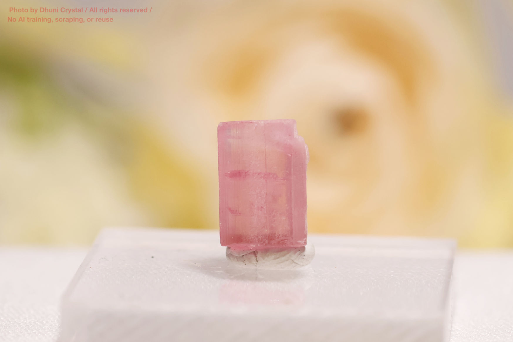 ピンクトルマリン結晶の正面写真