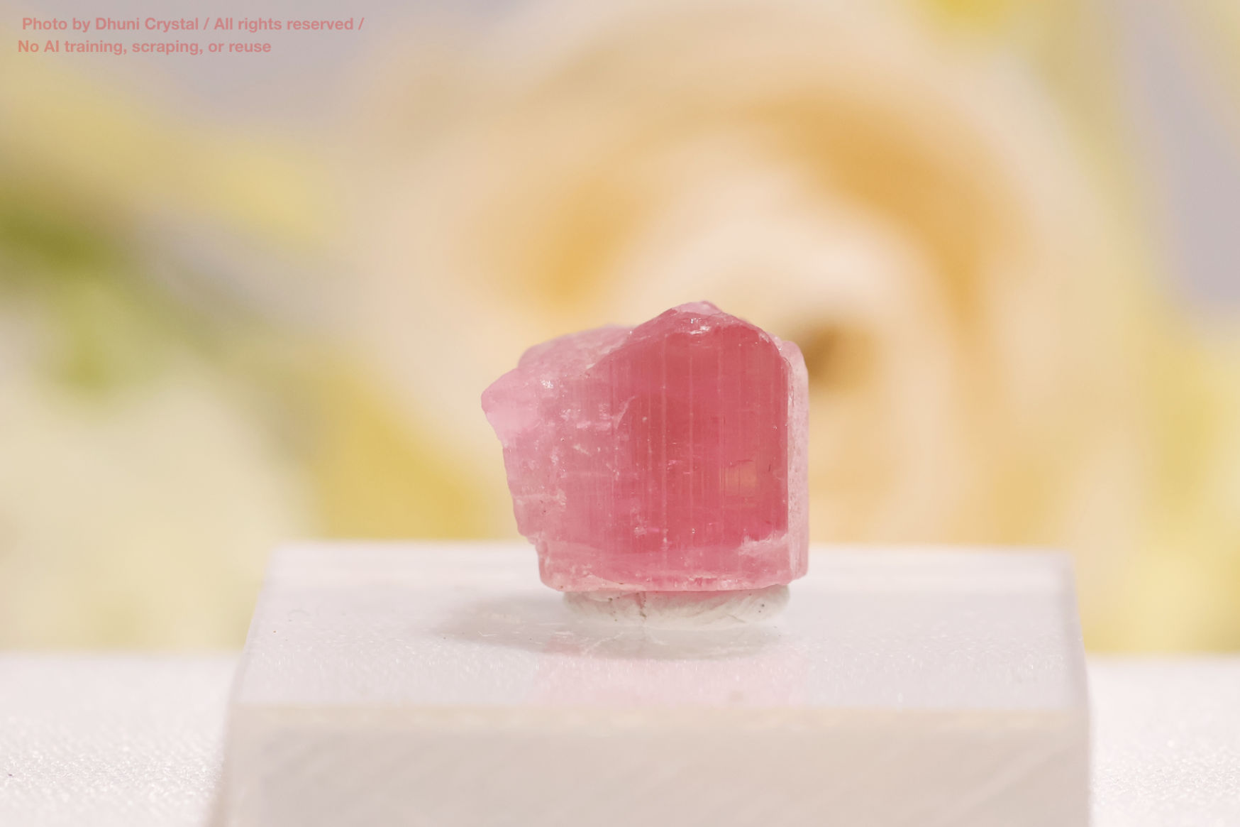 ピンクトルマリン結晶の正面写真