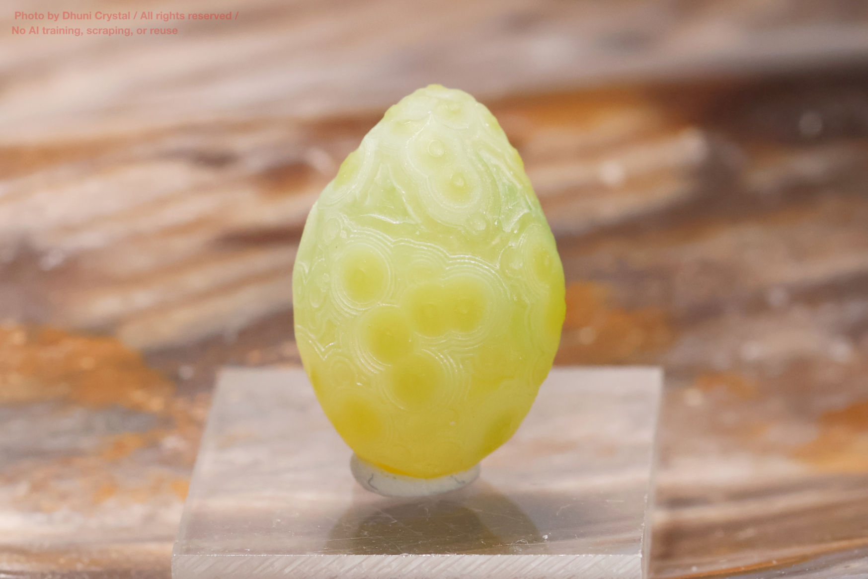 ゴビアゲートンの画像