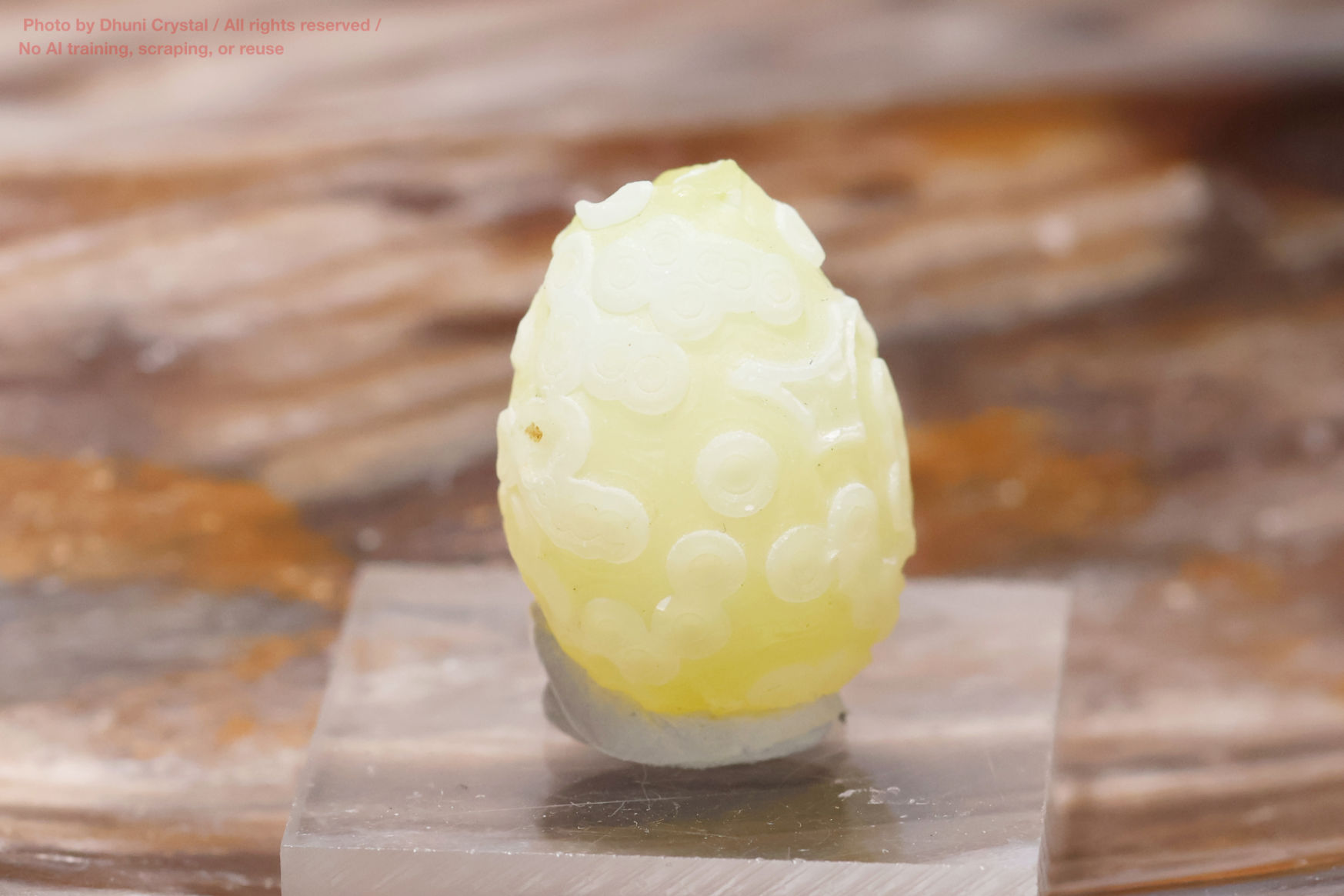 ゴビアゲートンの画像