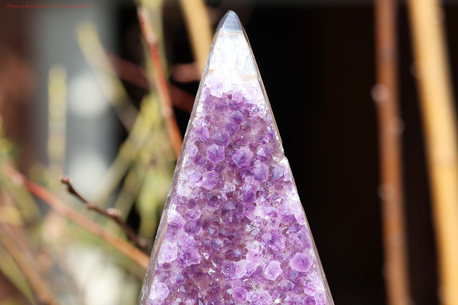 アメジストクラスター手の写真