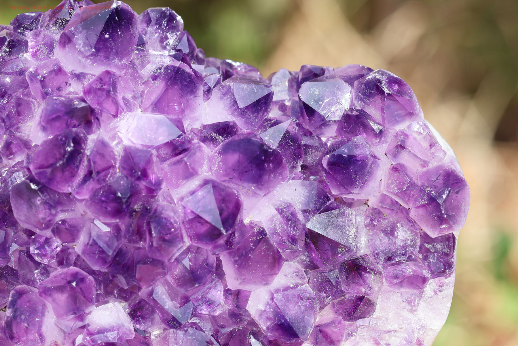 アメジストクラスター手の写真