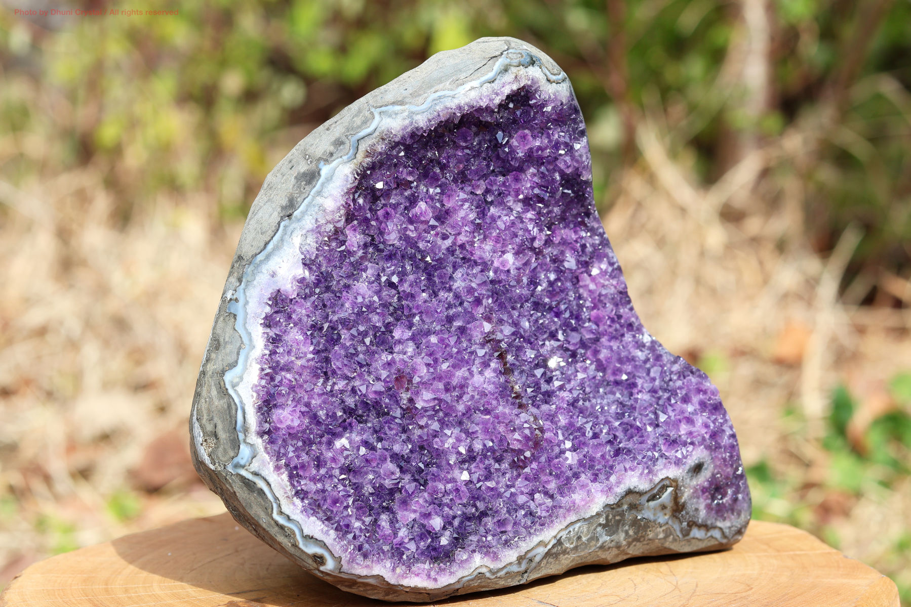 アメジストクラスターの写真