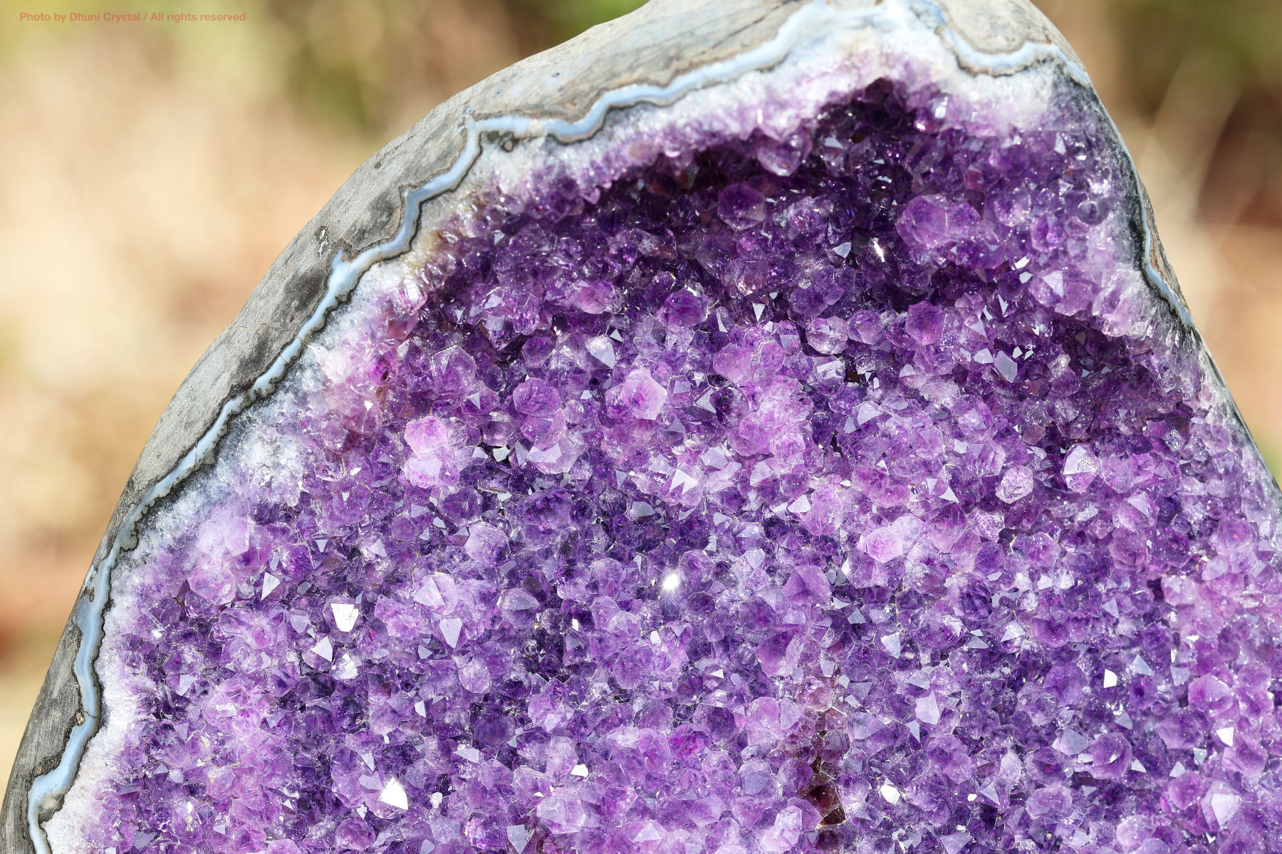 アメジストクラスター手の写真