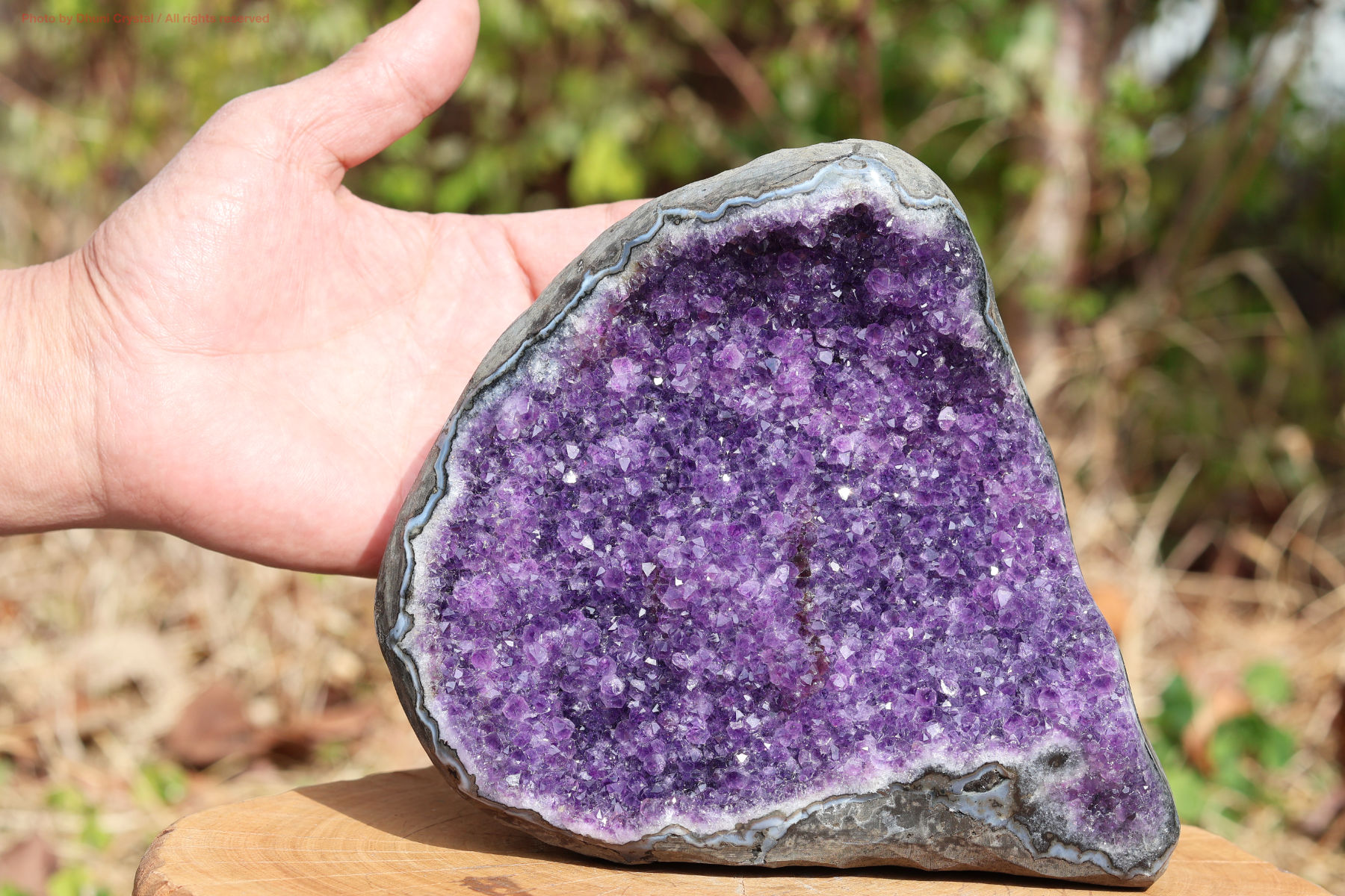 アメジストクラスター手の写真