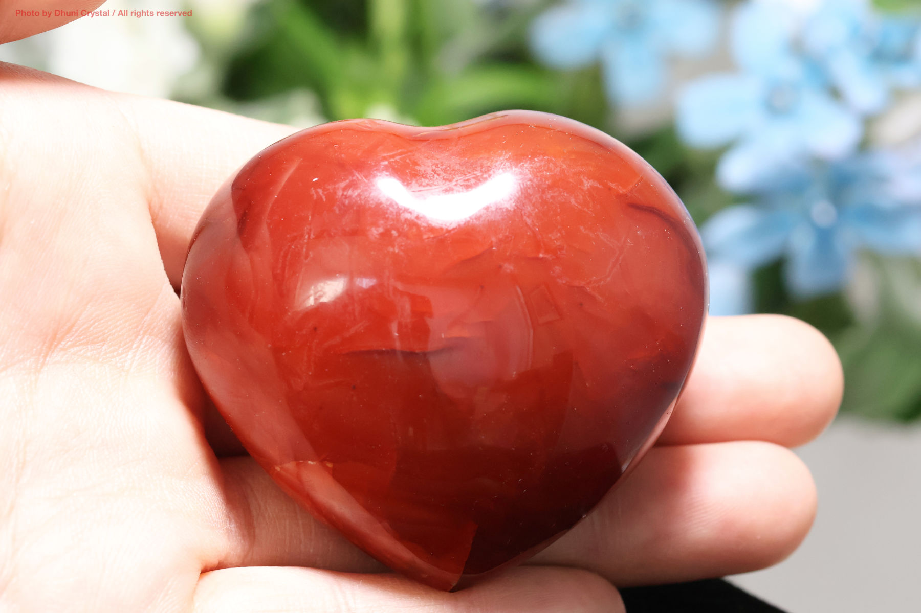 カーネリアンのハート型手の上の画像