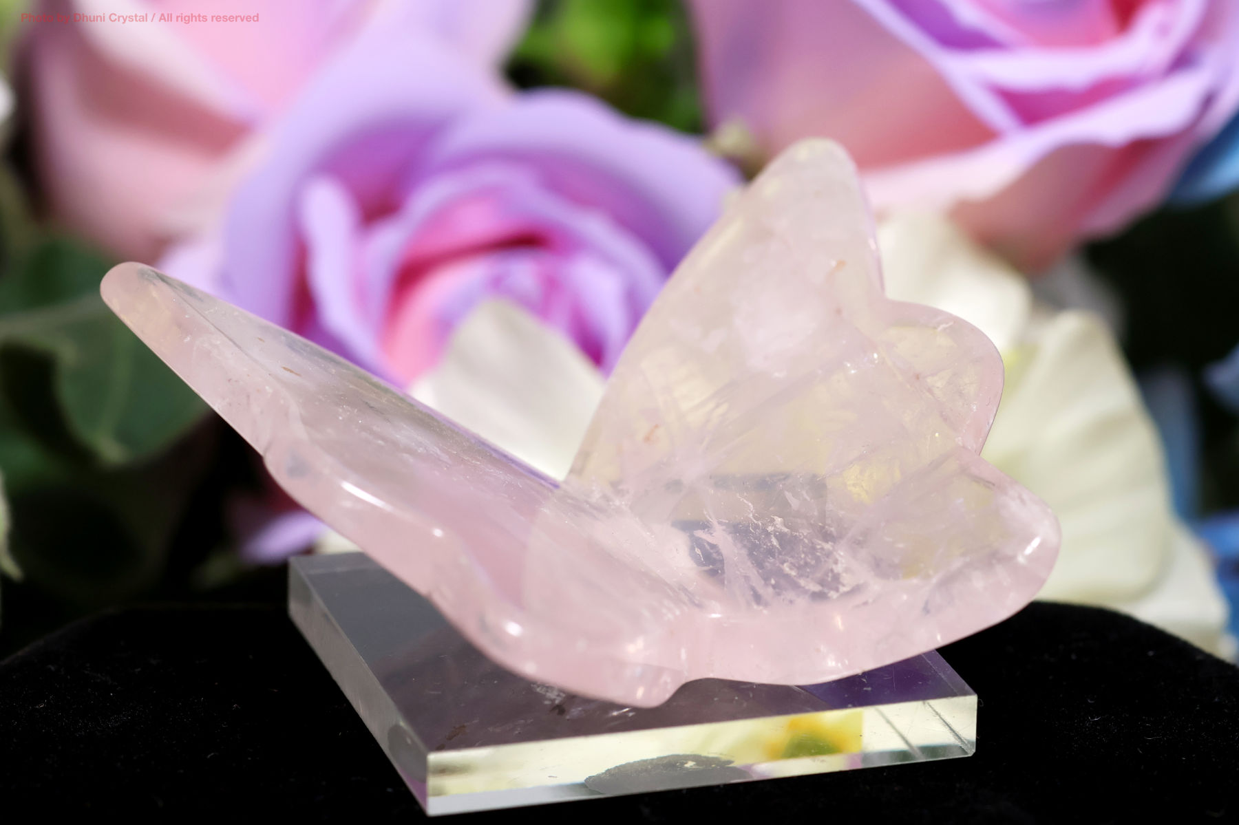 ローズクォーツ 愛と癒しをもたらす優しいピンクの天然石