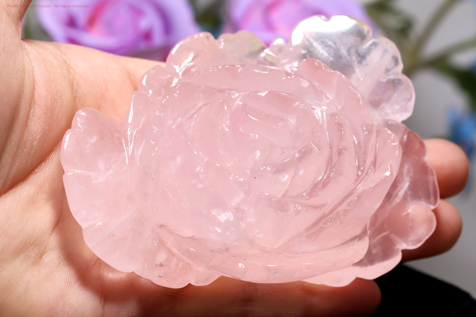 ローズクォーツ 愛と癒しをもたらす優しいピンクの天然石