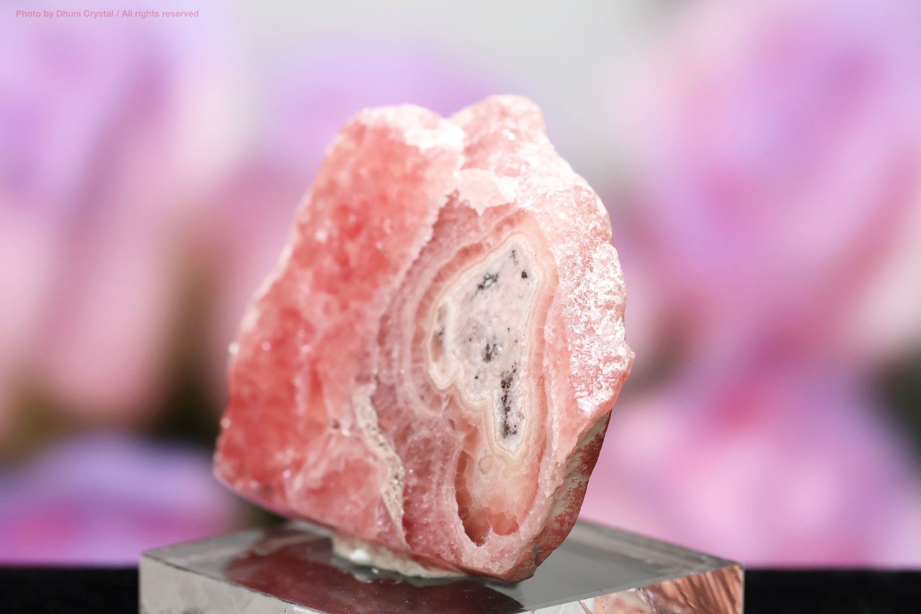 インカローズの画像