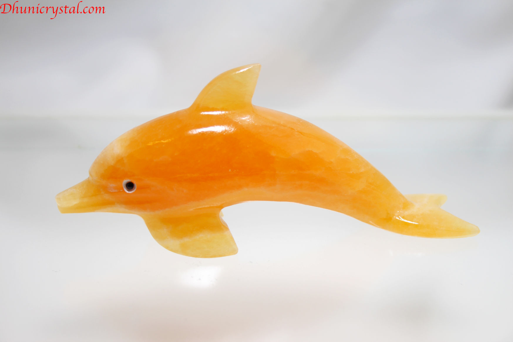 オレンジカルサイト/イルカさん(G408)