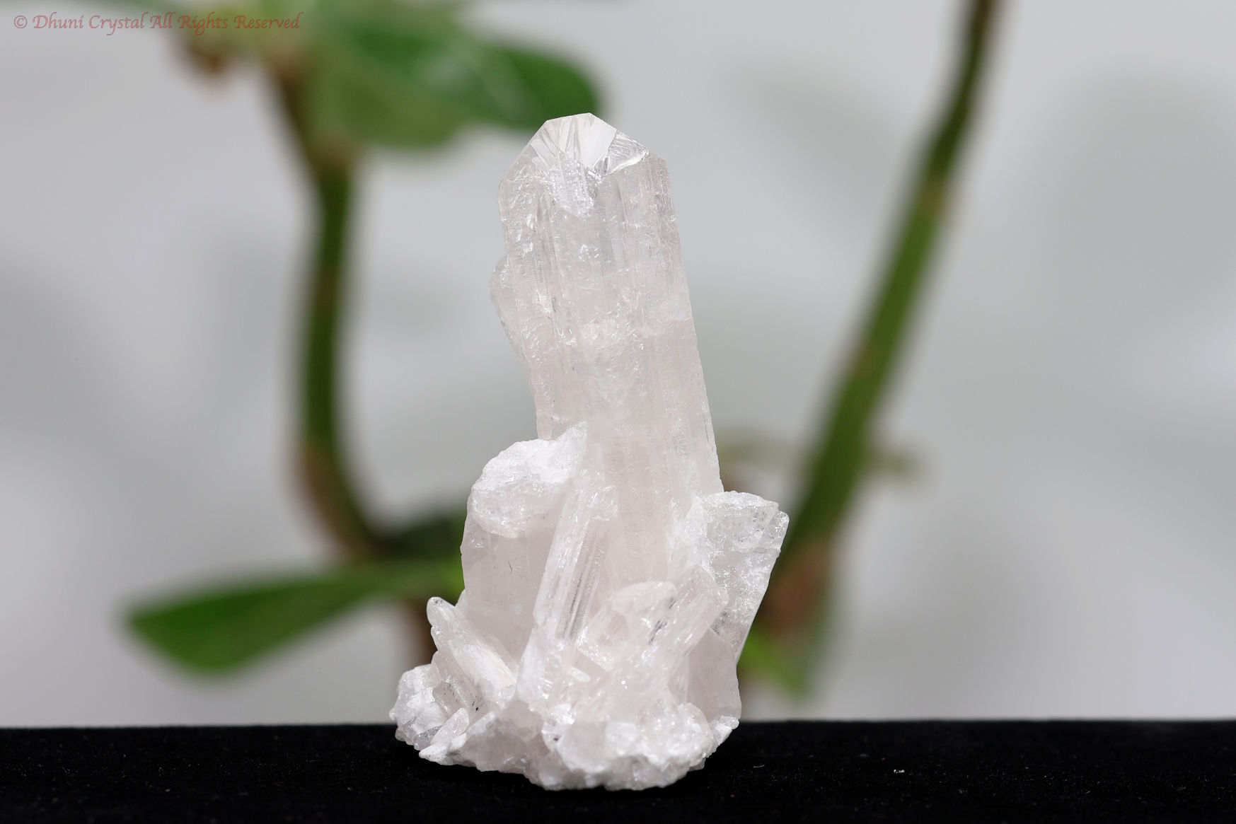 ダンビュライト