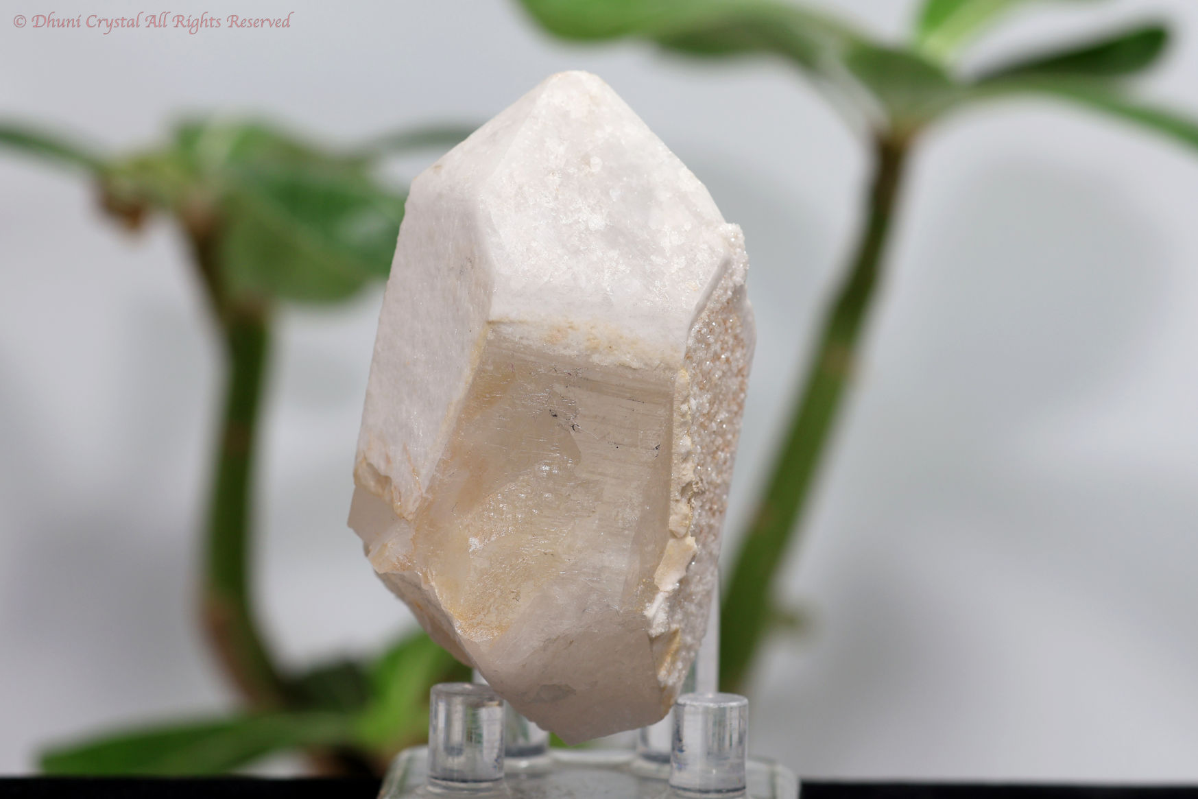 ホワイトコート・アーカンソー水晶/アルバイト結晶(SS19)