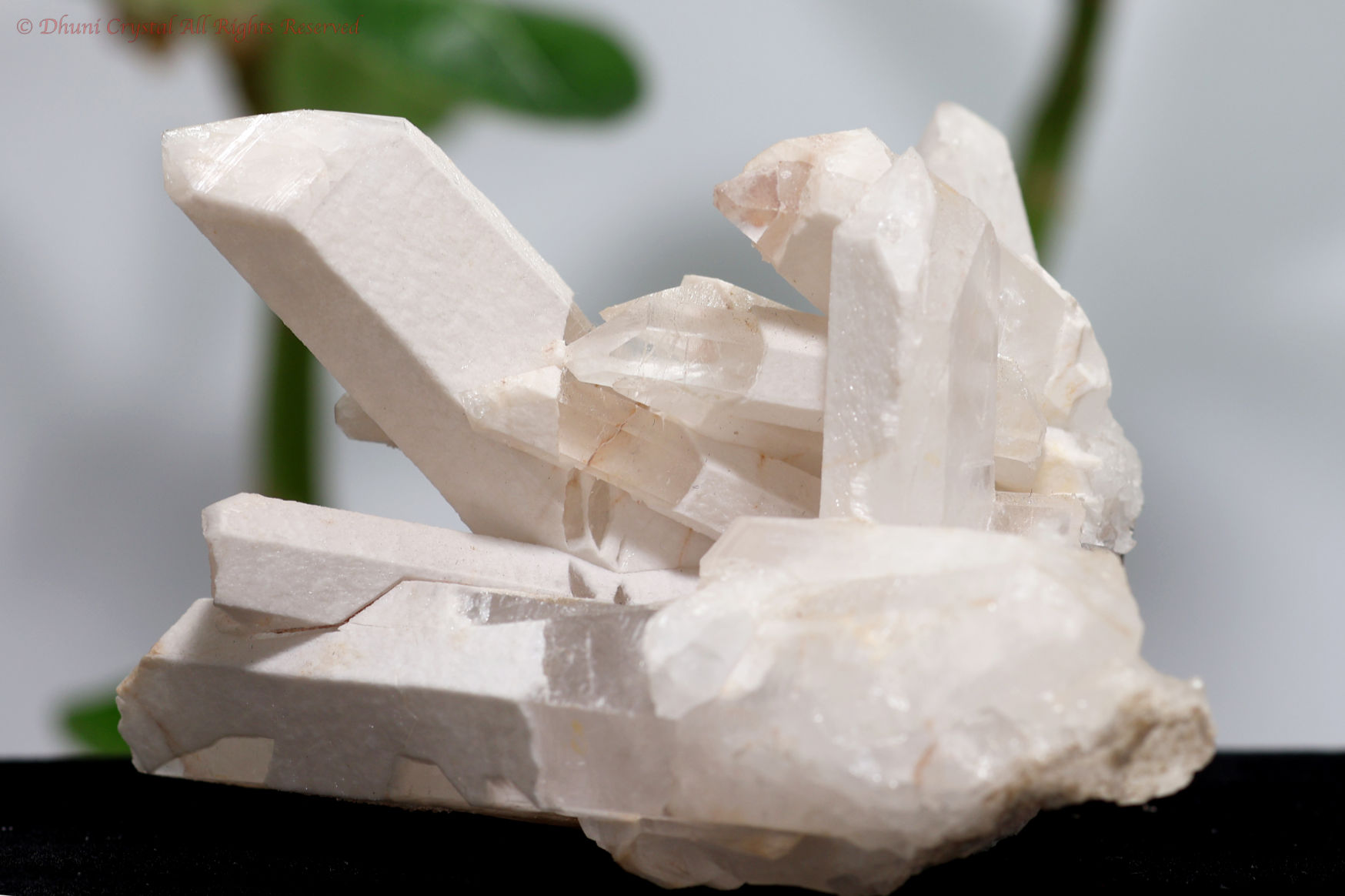 アーカンソー水晶/アルバイト結晶