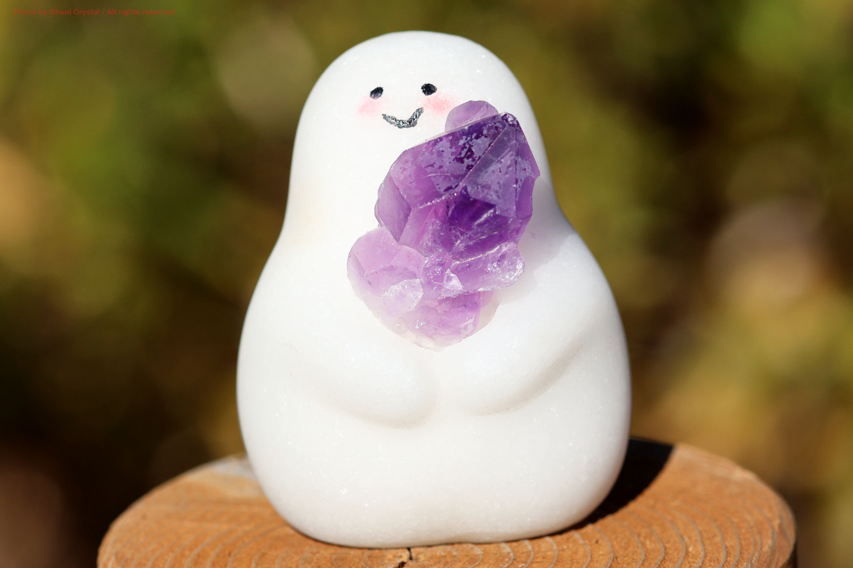 しらたまちゃんの正面写真” loading=