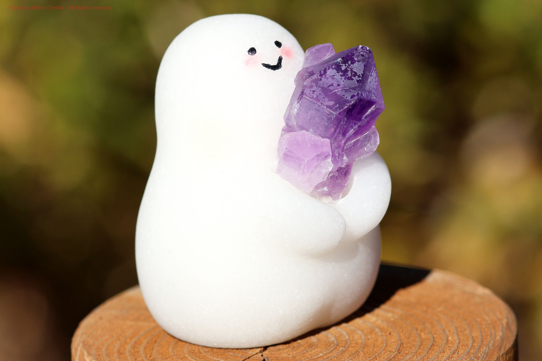 しらたまちゃんの側面写真