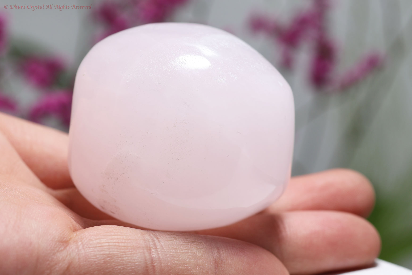 空想アパートメント ピンクの豆粒 2025年最新】空想アパートメント 豆粒の人気アイテム - メルカリ