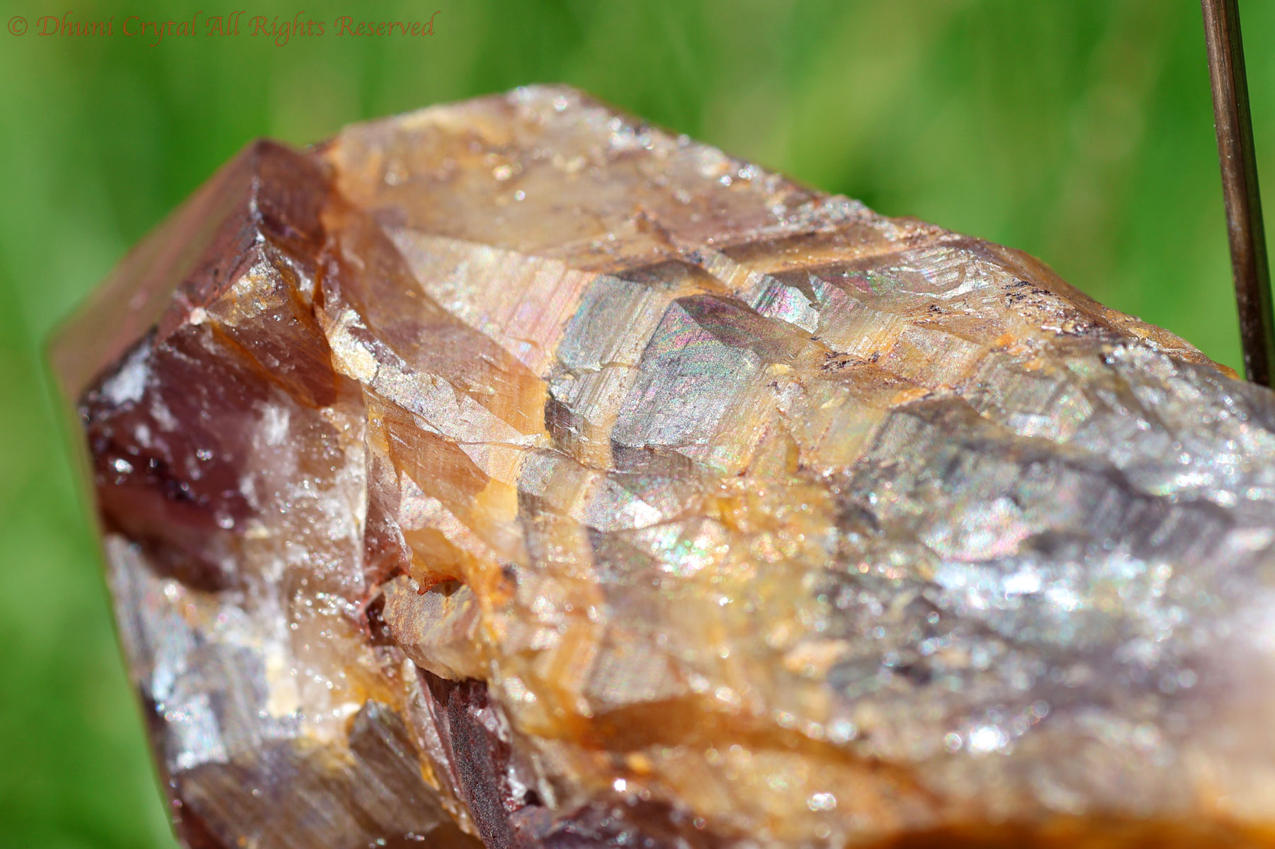 ゴールデン・オーラスターライト23原石(新オーラライト23)/(T233)