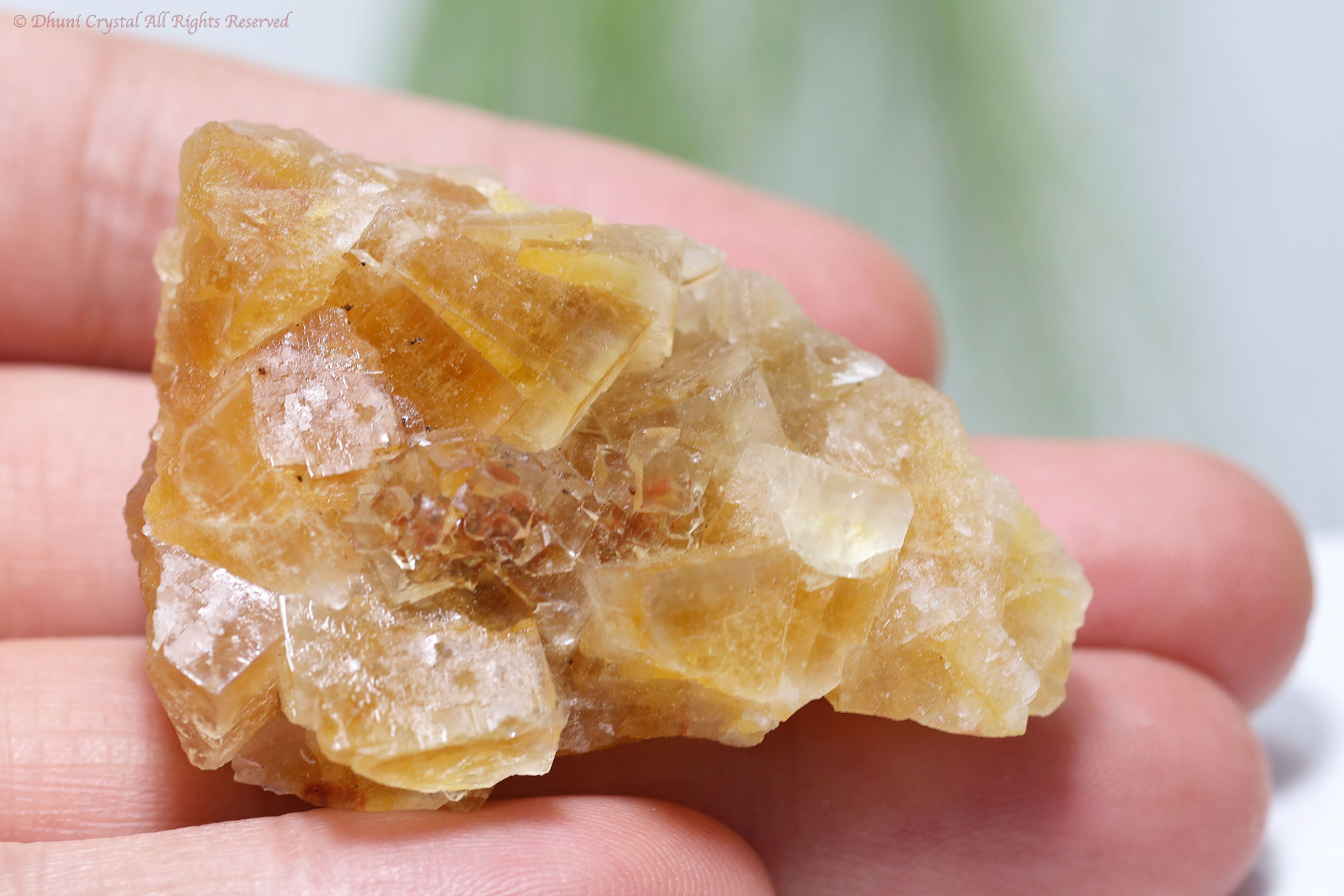 イエロー・フローライト原石/スペイン産(T241)