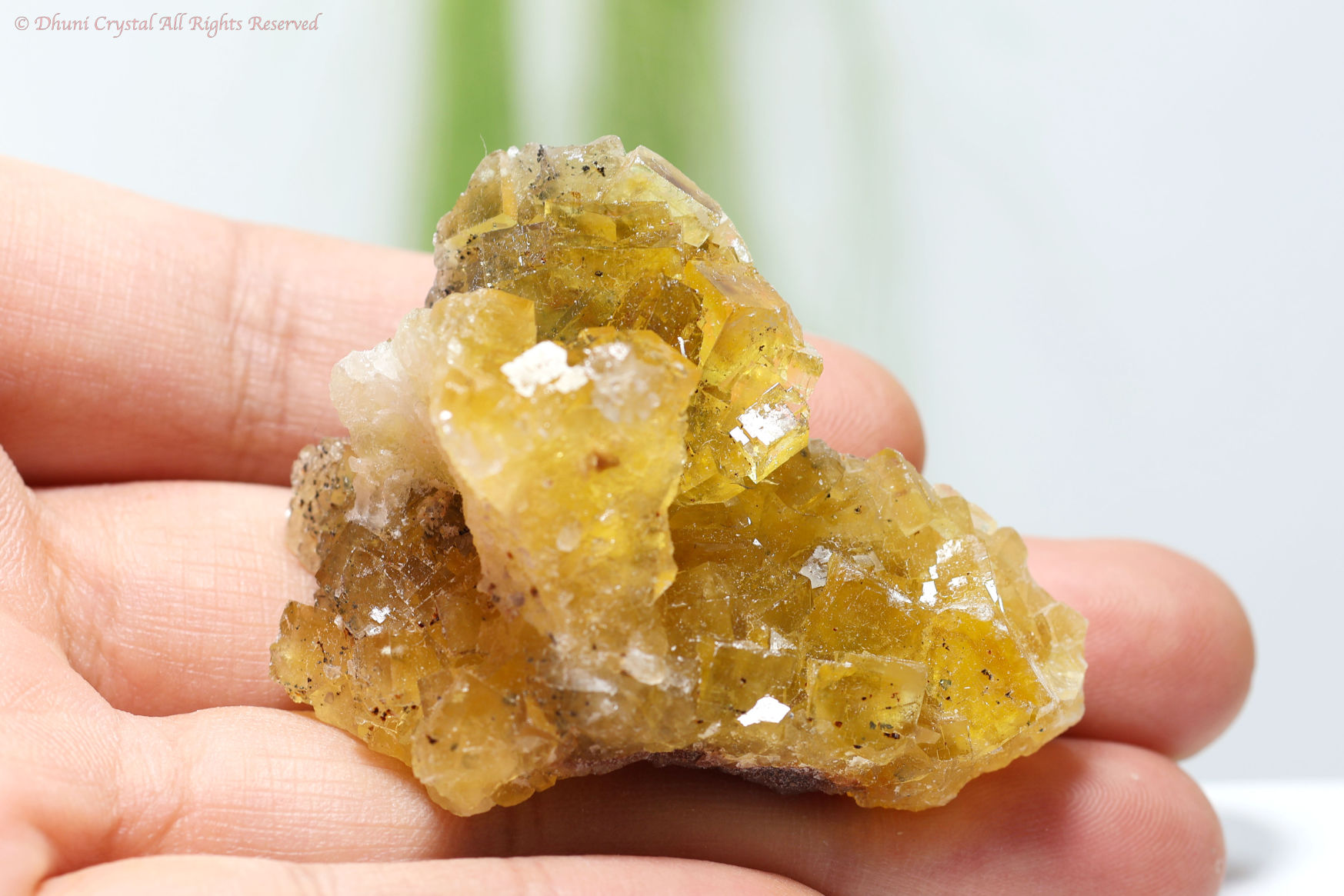 イエロー・フローライト原石/スペイン産(T242)