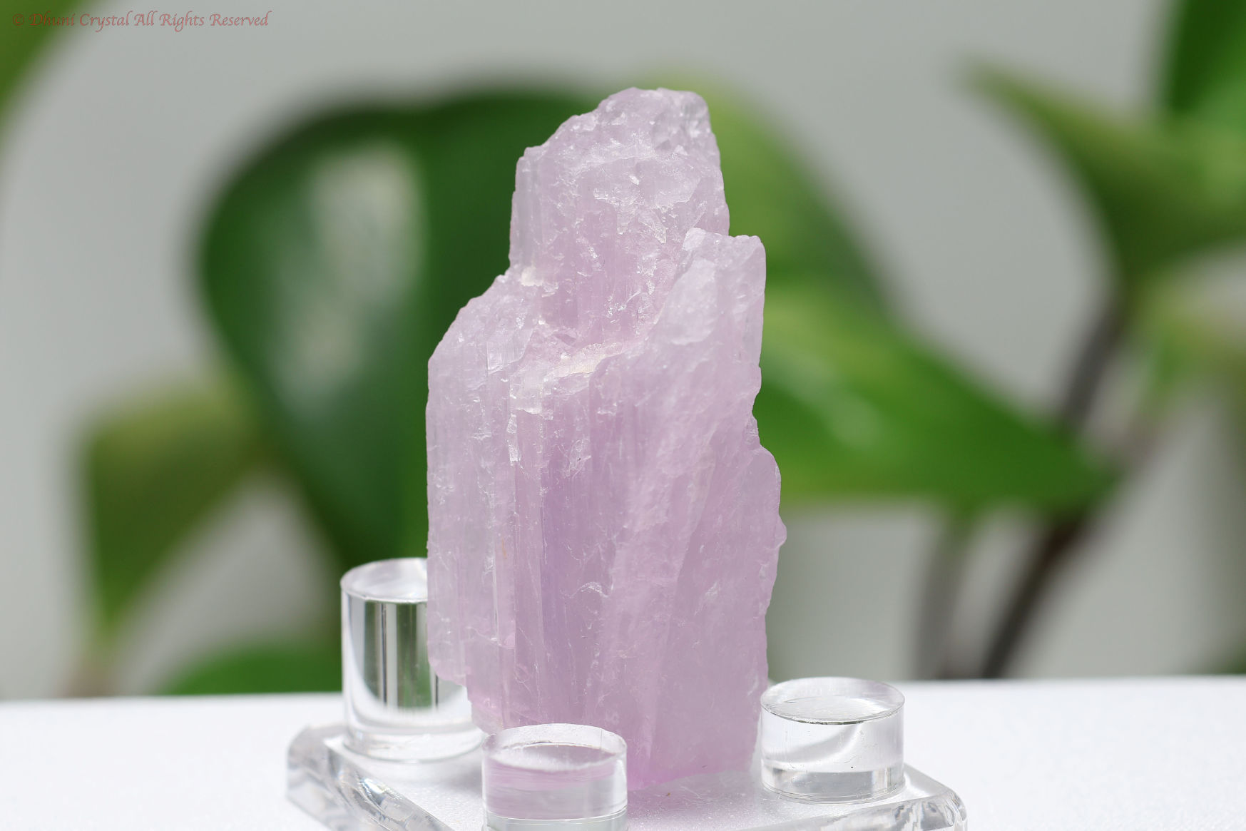 クンツァイトの原石(T248)