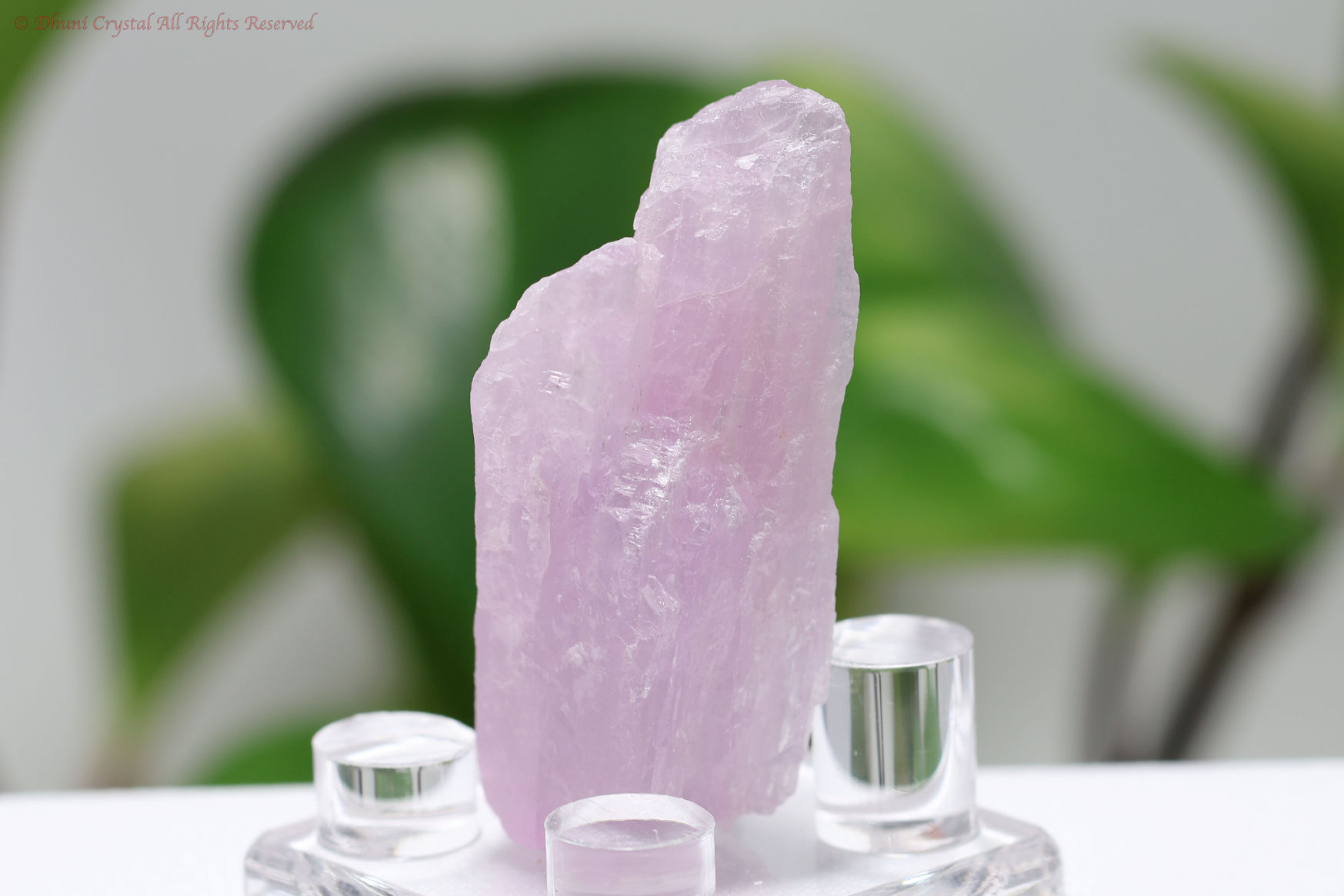 クンツァイトの原石(T248)