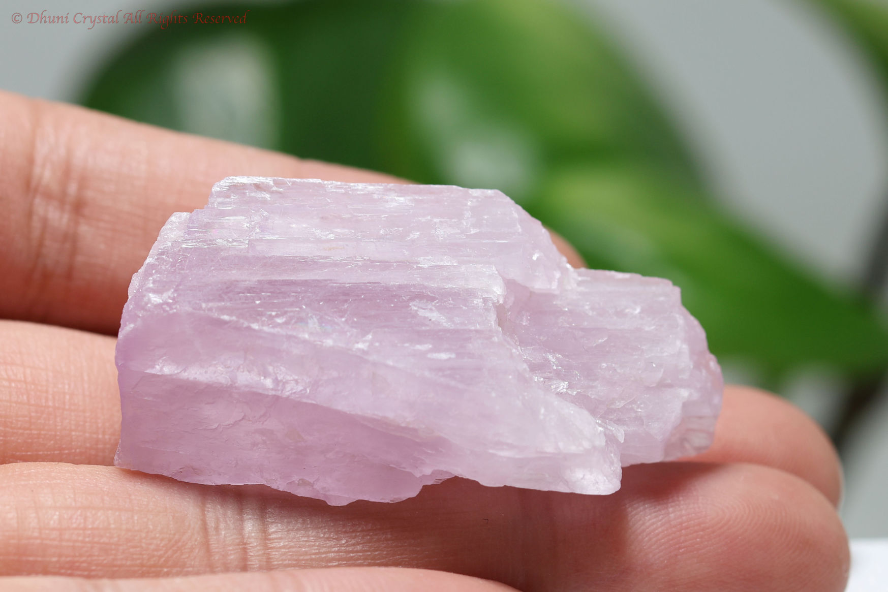 クンツァイトの原石(T248)