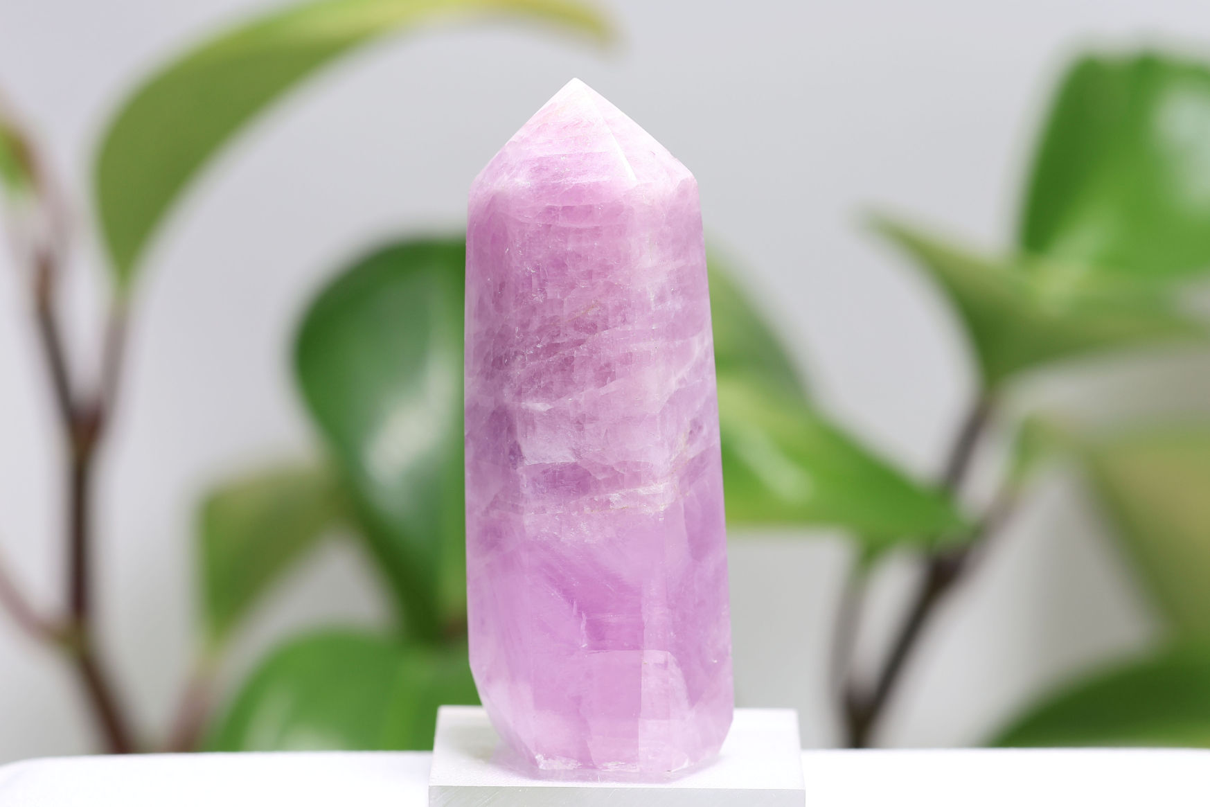 クンツァイト t252-2.jpg