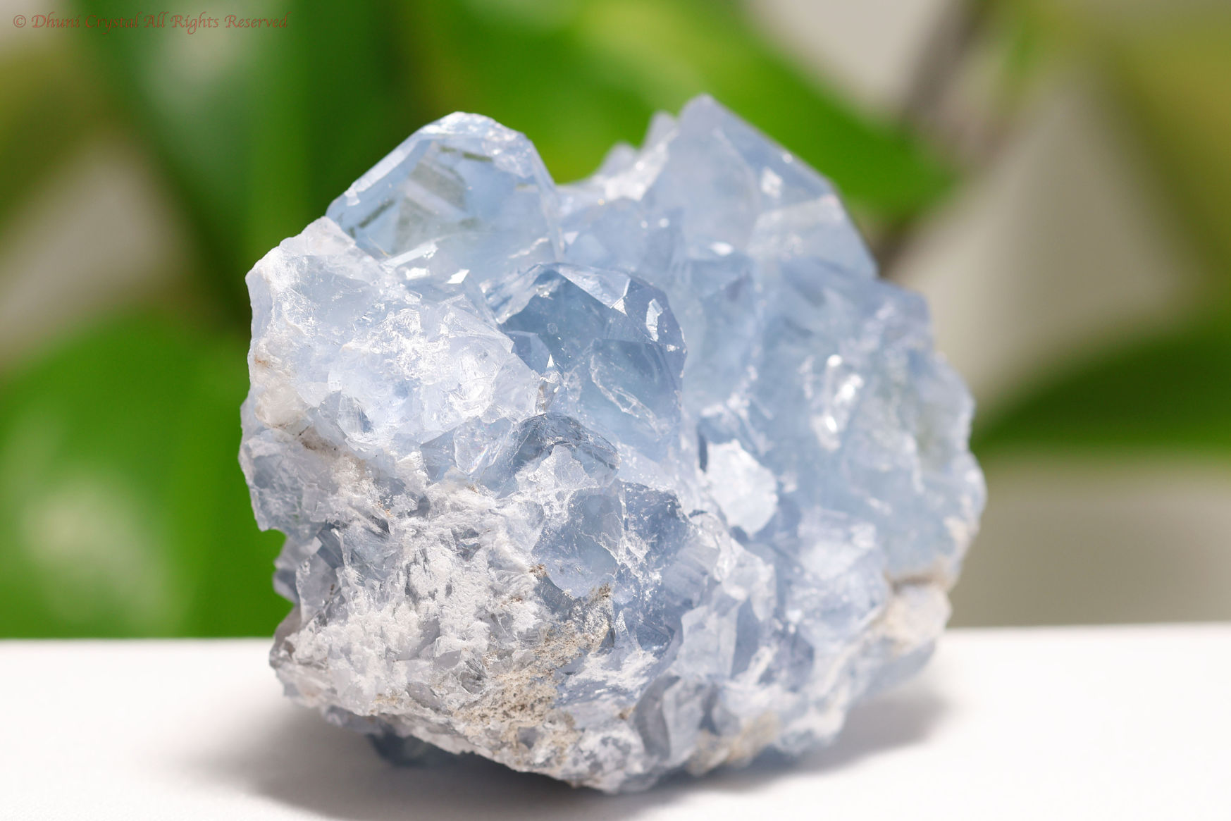 セレスタイト原石/天青石(A594)