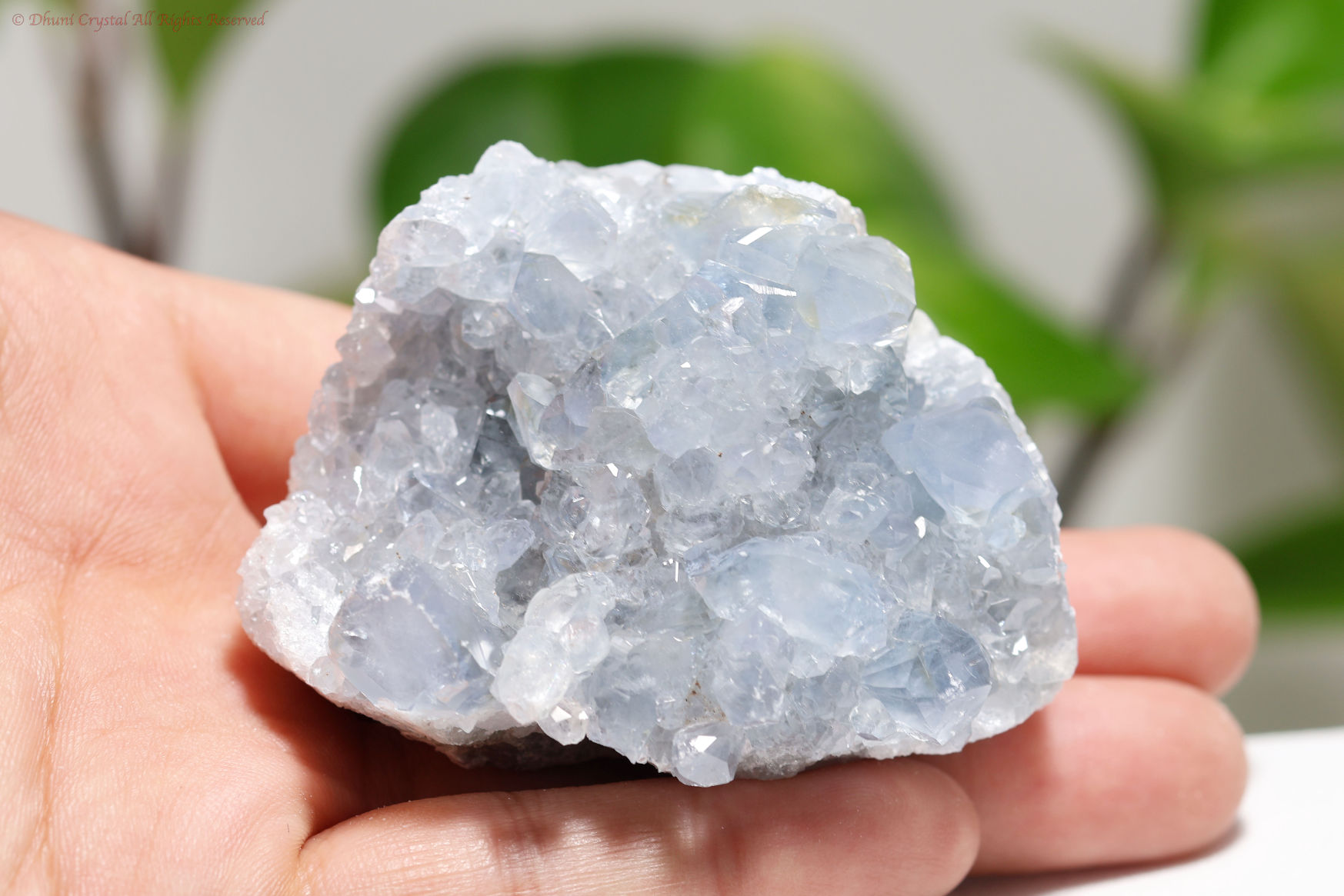 セレスタイト原石/天青石(A595)