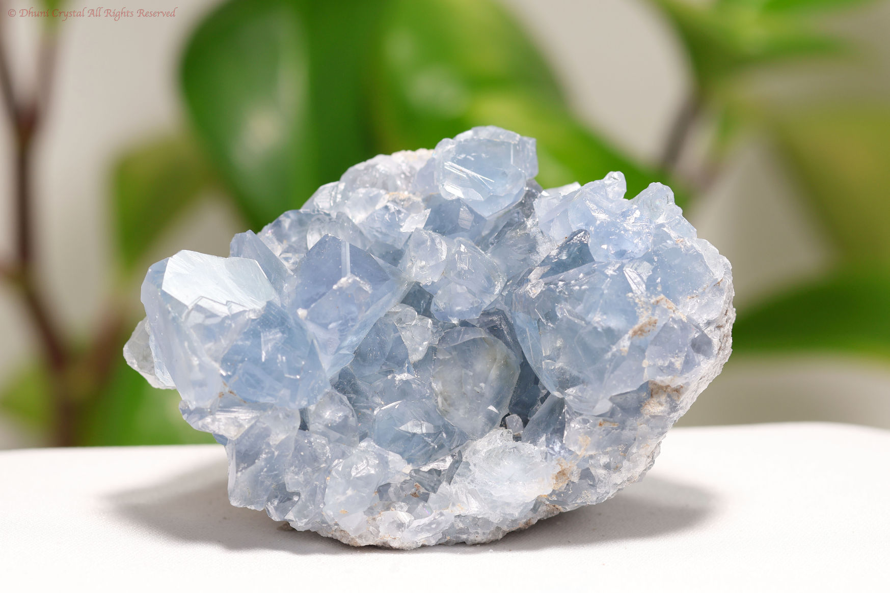 セレスタイト原石/天青石(A596)