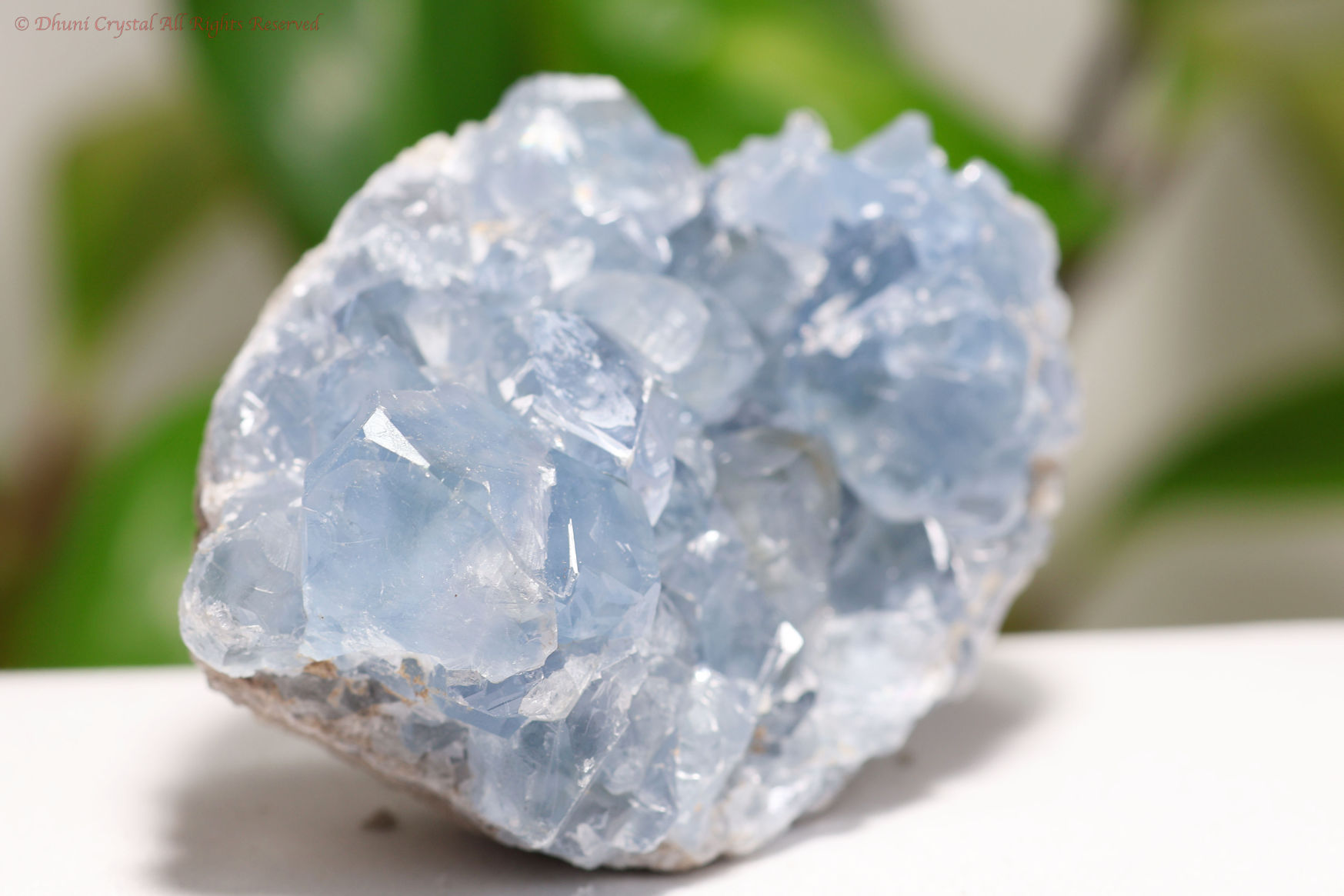 セレスタイト原石/天青石(A596)