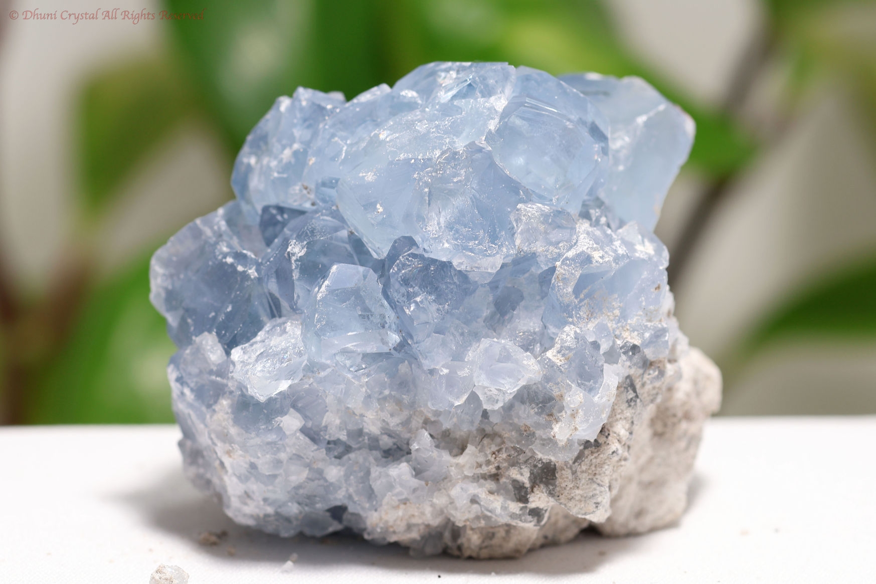 セレスタイト原石の写真