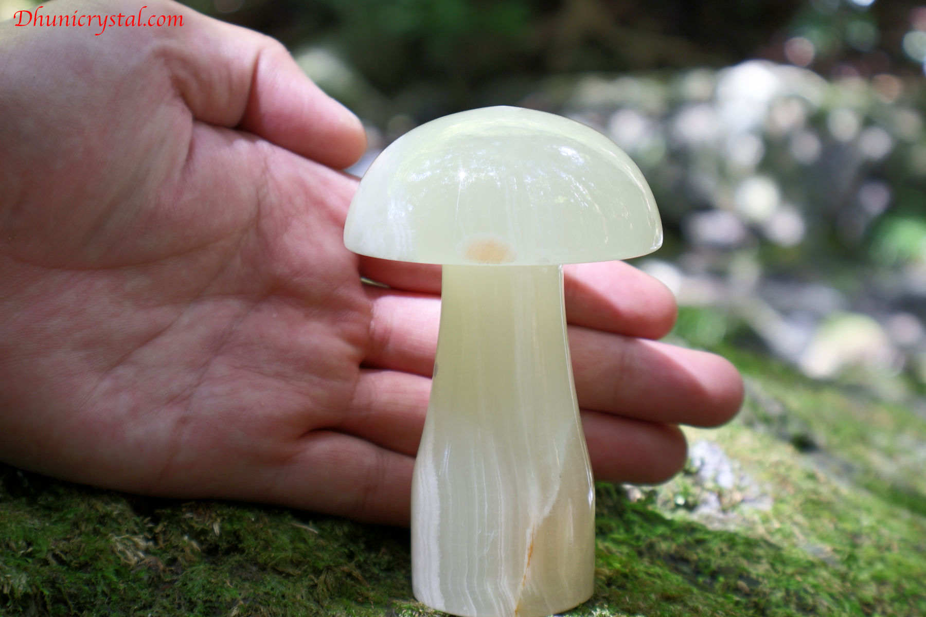 ミルキーグリーンの癒し柔光オニキススカル希望の守護叡智鉱石彫刻