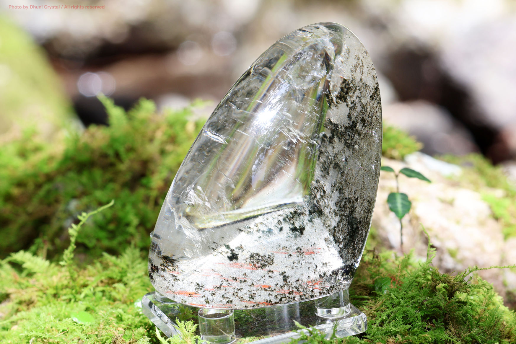 シャーマニック・ドリーム・クリスタル/ガーデンクォーツ(T317)