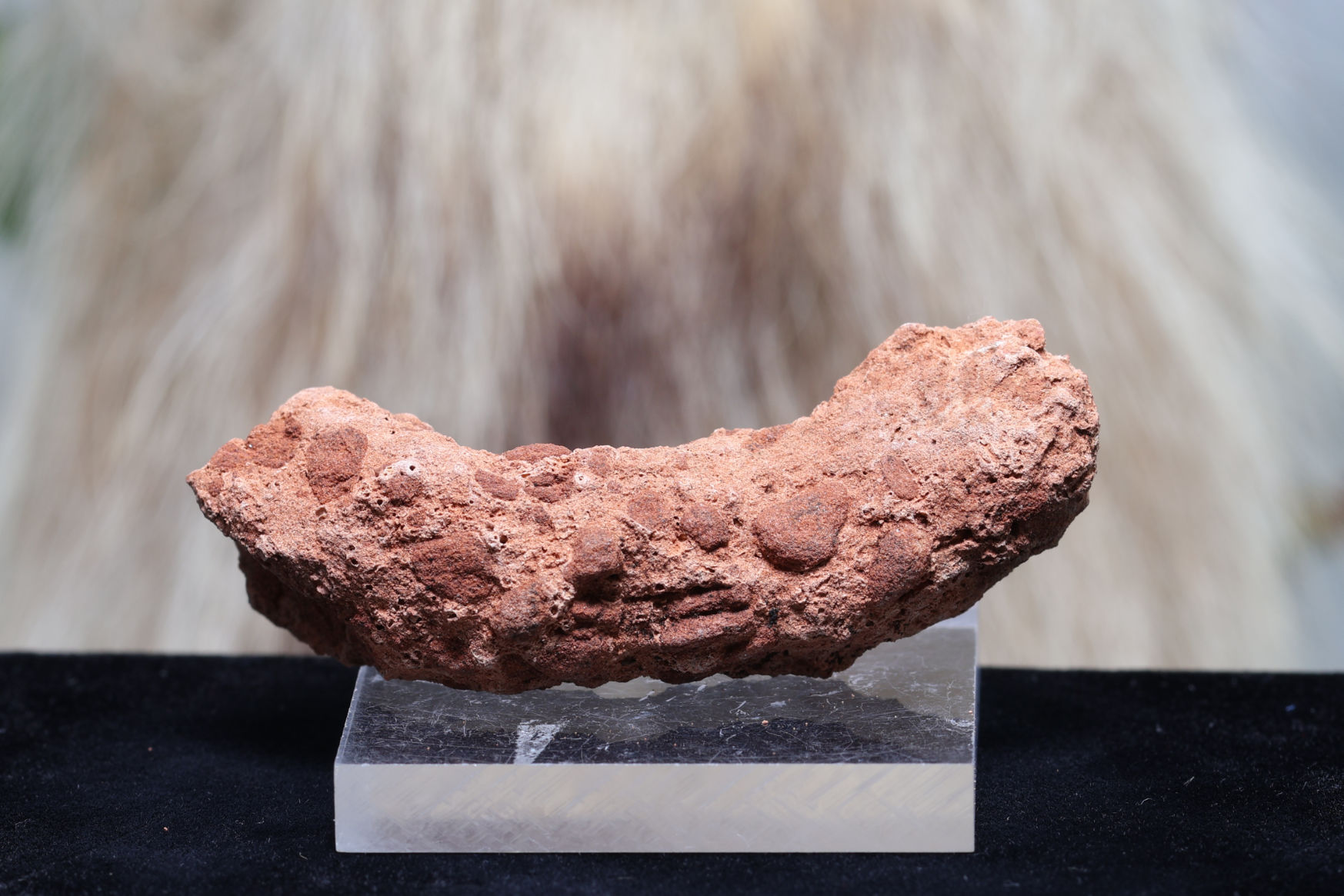 奇跡の共生石！エピドート＆クリスタル原石②　唯一無二の高波動パワーストーン 楽天市場】【一点物・非加熱】サファイア原石 結晶 2.4ct 標本