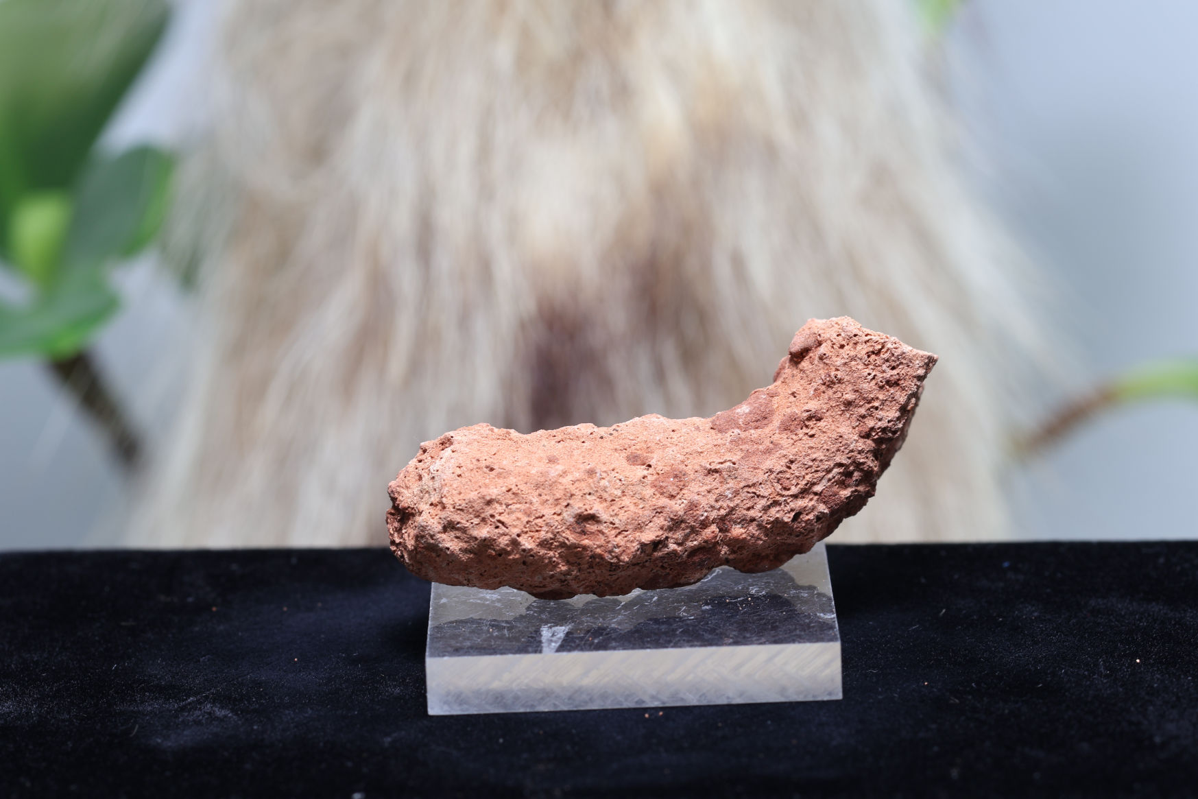 “セドナ産のフルグライト”