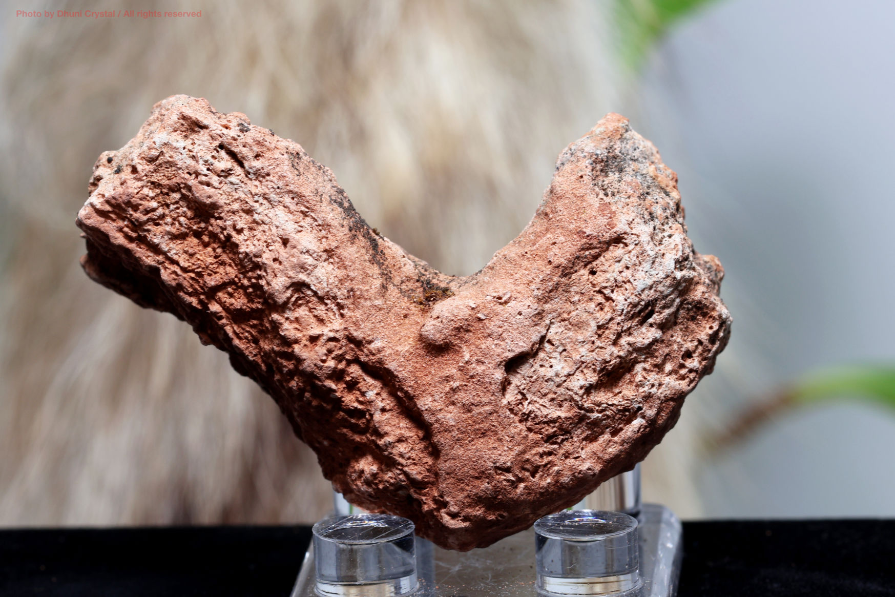 ロードナイト　原石 GRAND RINO / ロードナイト 原石 ≪宮崎県西彼杵郡≫[1-1004]