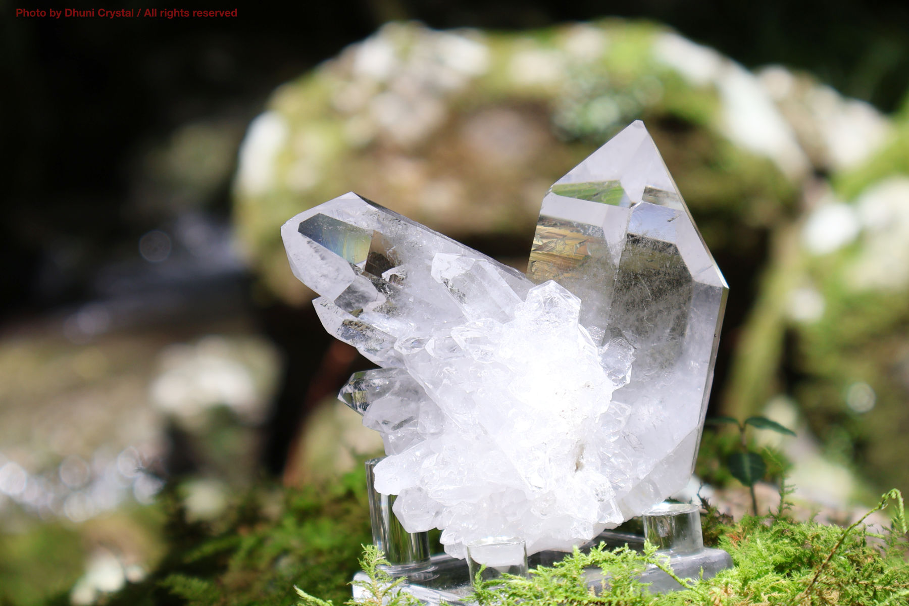 マニハール産ヒマラヤ水晶の斜めから見た結晶の透明感