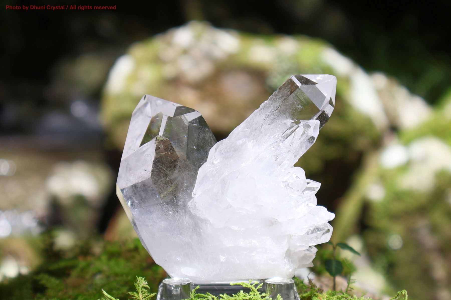 マニハール産ヒマラヤ水晶の裏面からの結晶の様子