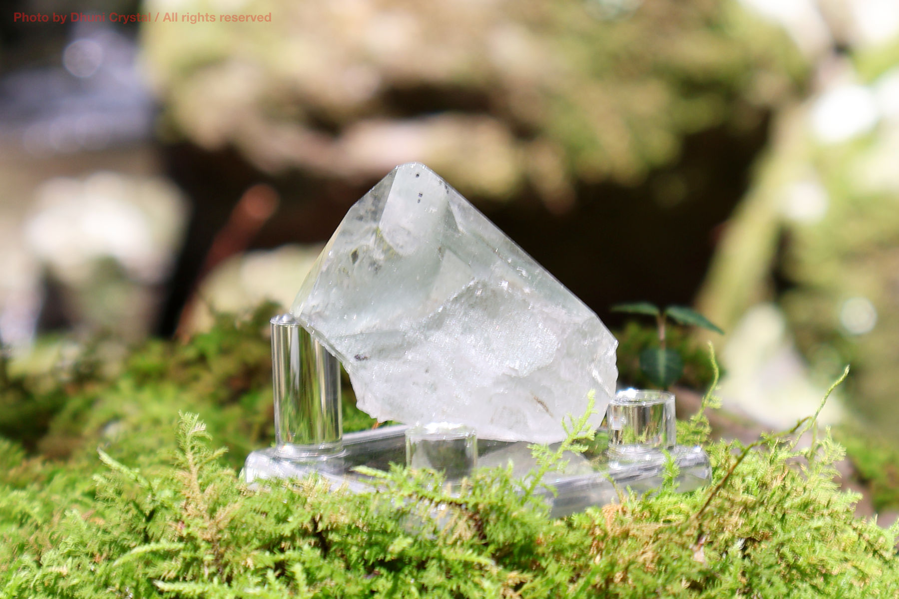 マニハール産ヒマラヤ水晶の斜めから見た結晶の透明感