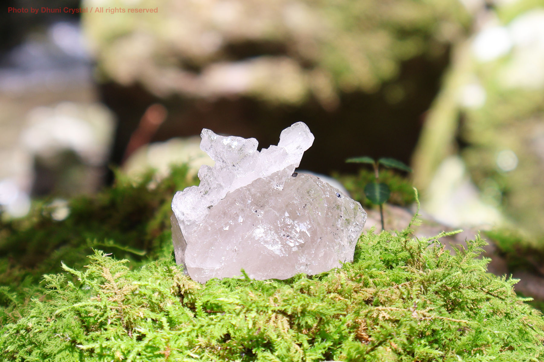 マニハール産ヒマラヤ水晶の斜めから見た結晶の透明感
