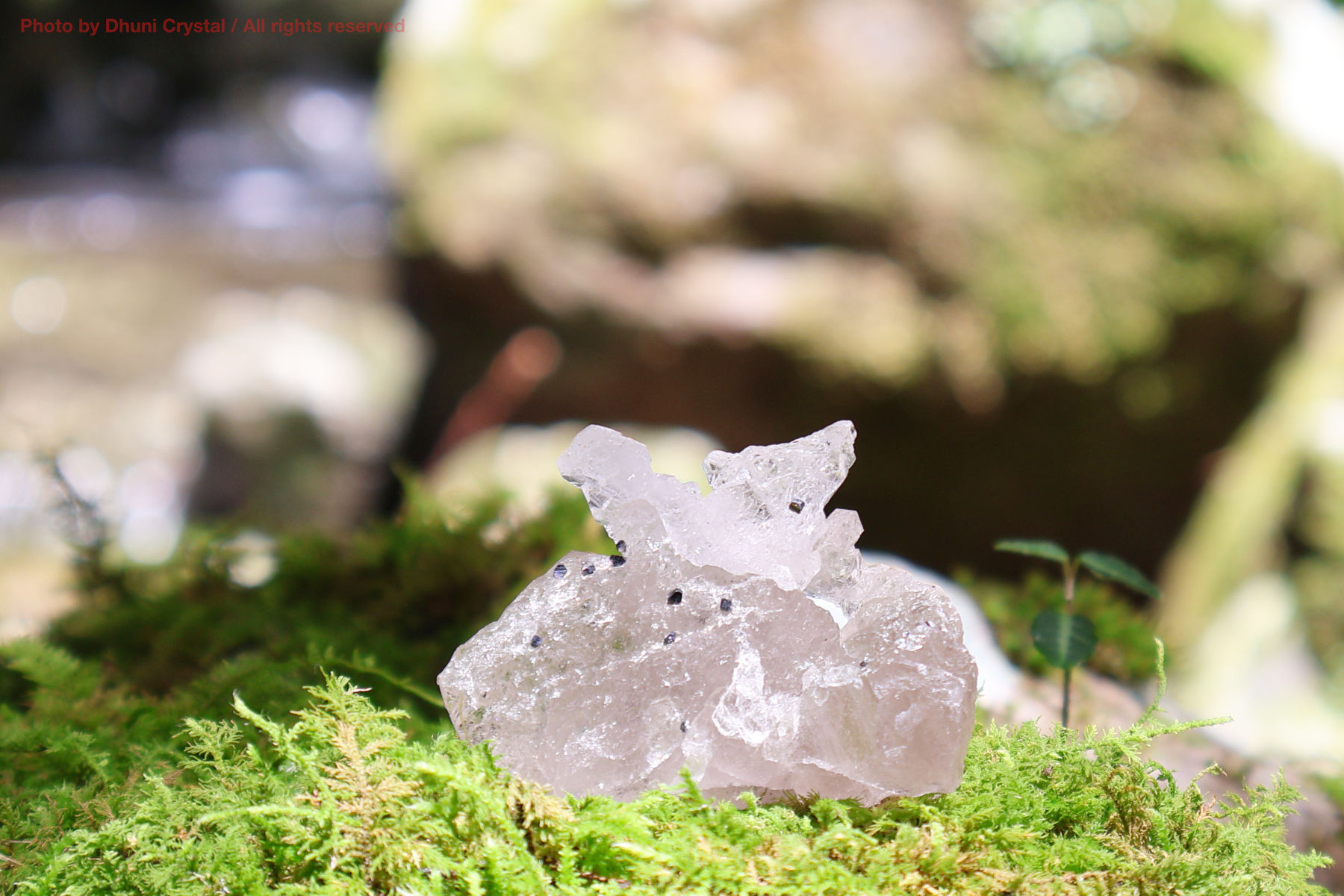 マニハール産ヒマラヤ水晶の裏面からの結晶の様子
