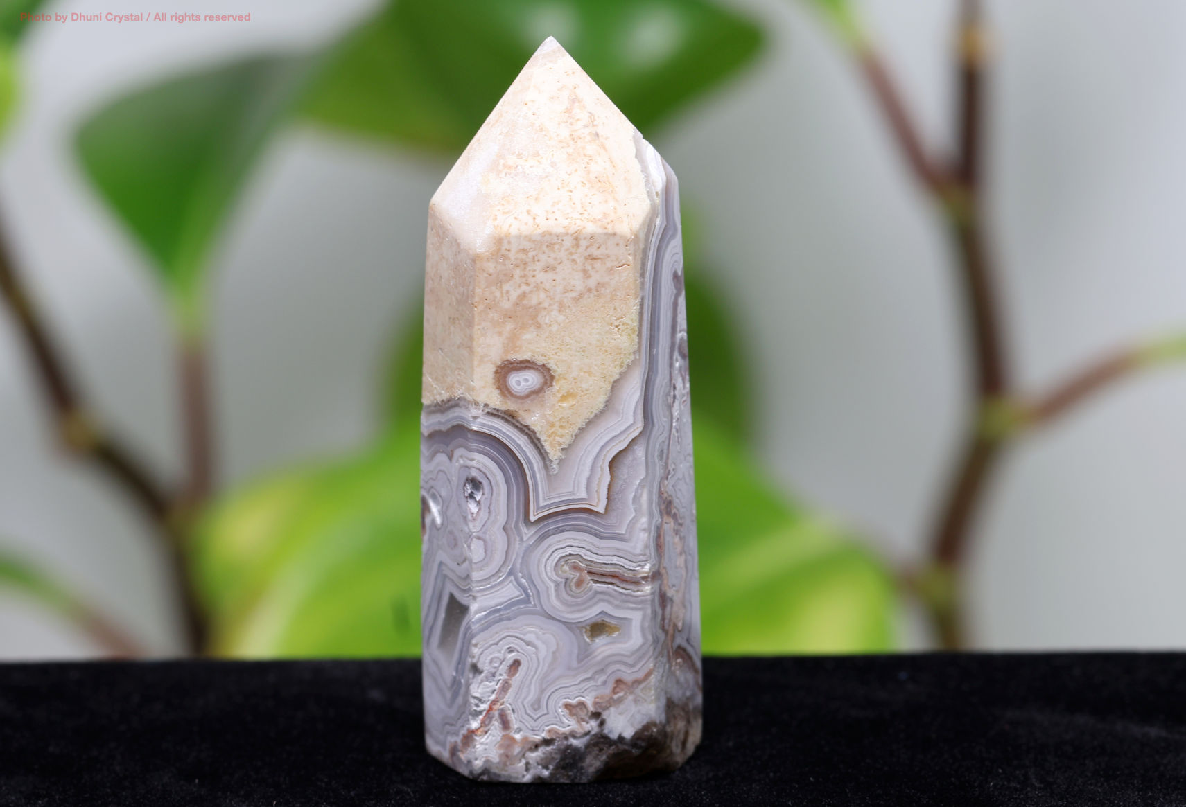 珍しい特大クレージーレースアゲイトの原石 楽天市場】クレイジーレース ジャスパー アゲート ラフ原石 □約