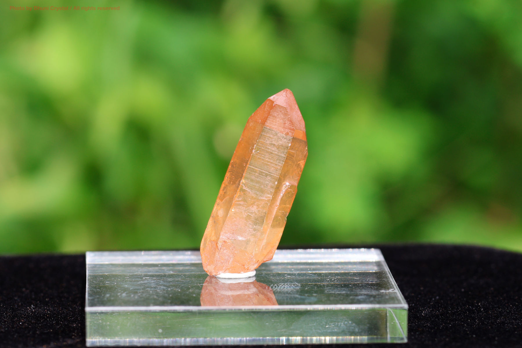 レムリアンシードクリスタル/タントリックツイン/セラドカブラル