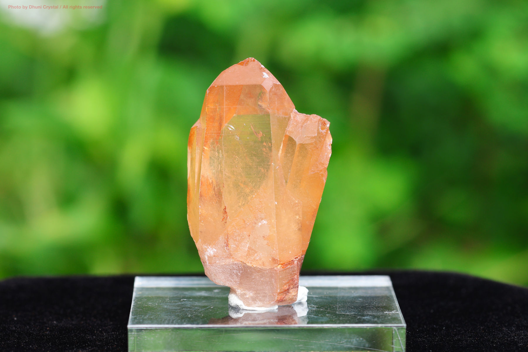 エイリアン・アメジスト(A647)