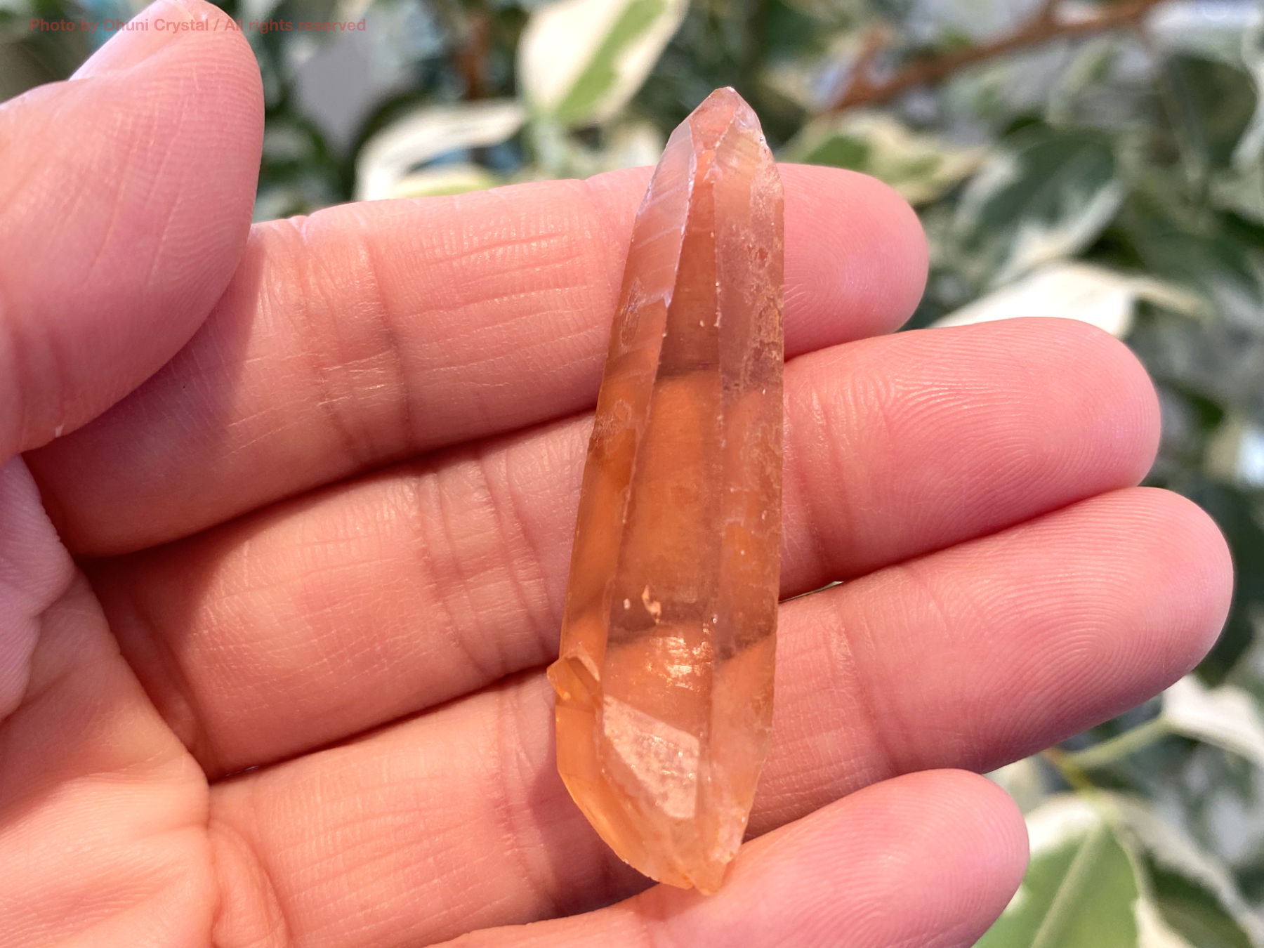 ブラジリアン ゴールデンヒーラー クラスター 天然石 水晶