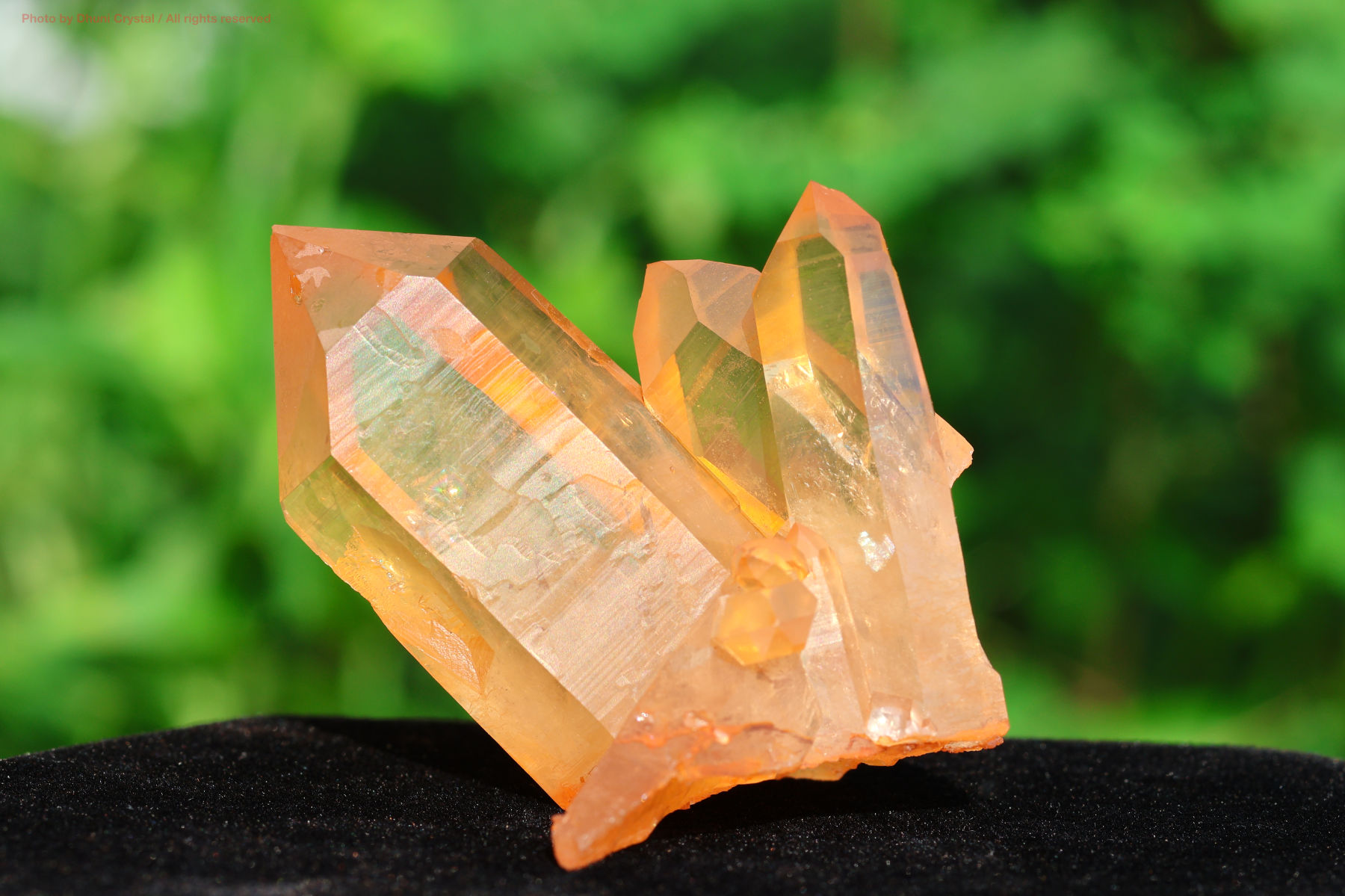 ブラジリアン ゴールデンヒーラー クラスター 天然石 水晶